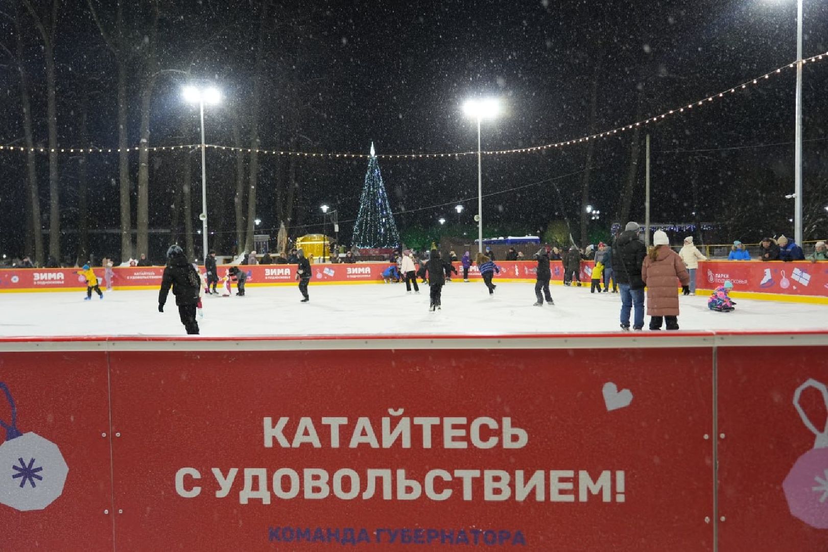Зима в Подмосковье, Зима в парках, Парки МО, Сергиев Посад, Каток, Губернатор МО, Каток с искусственным льдом, Сергиево-Посадский городской округ, Скитские пруды, вертикалки,