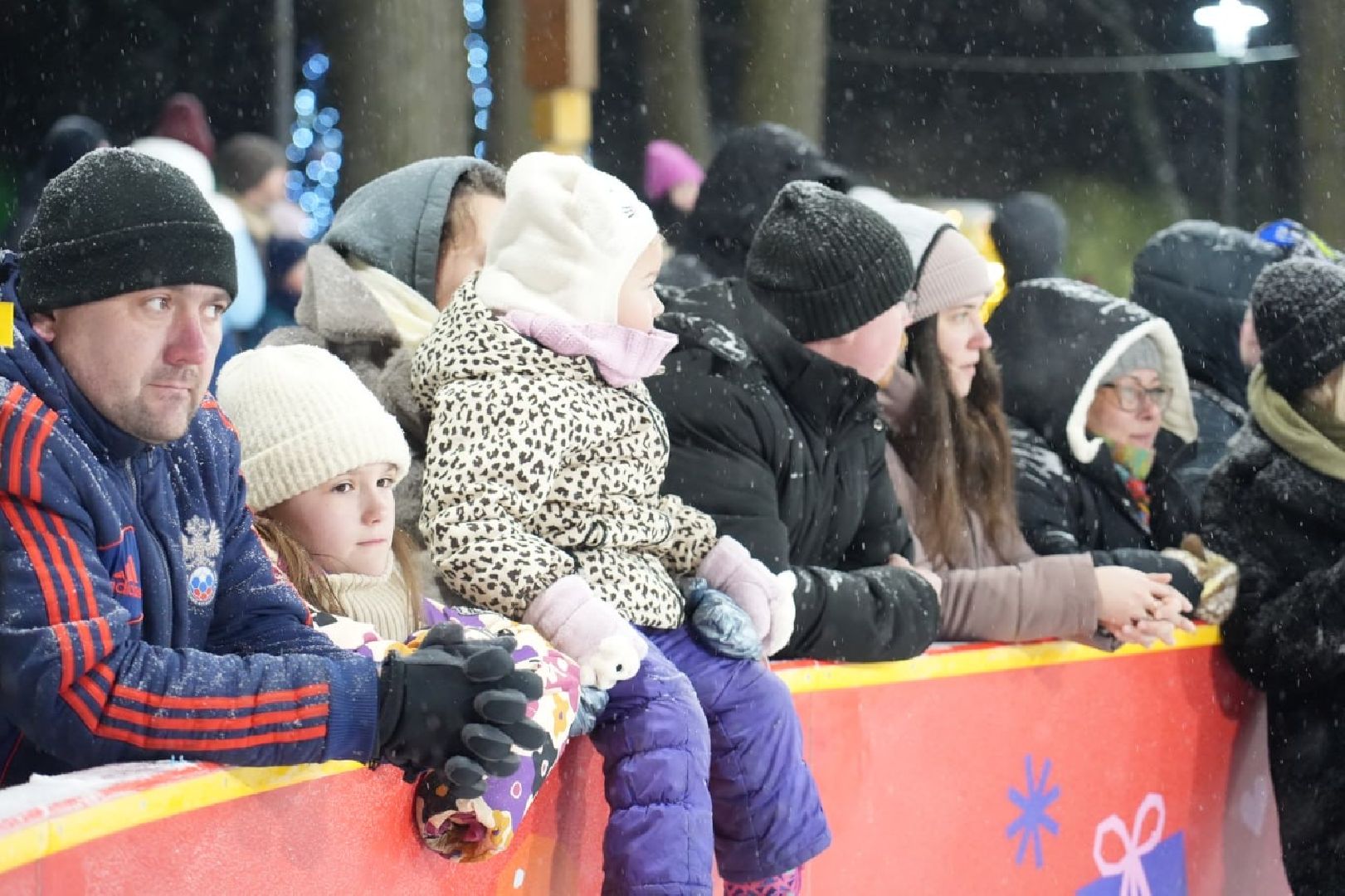 Зима в Подмосковье, Зима в парках, Парки МО, Сергиев Посад, Каток, Губернатор МО, Каток с искусственным льдом, Сергиево-Посадский городской округ, Скитские пруды, вертикалки,