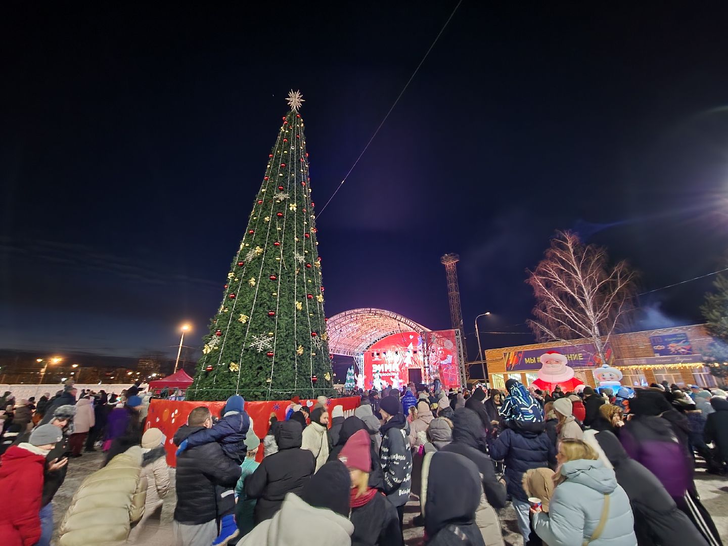 шатура, новый год, зима в парках, зима в подмосковье, Праздник,