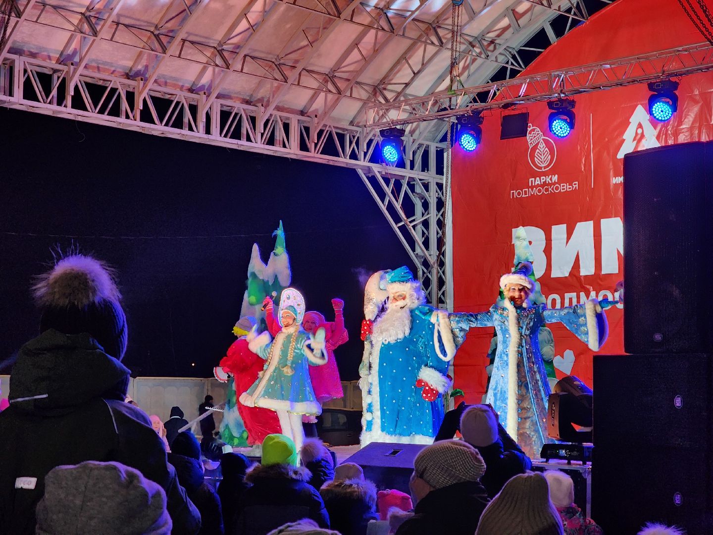 шатура, новый год, зима в парках, зима в подмосковье, Праздник,