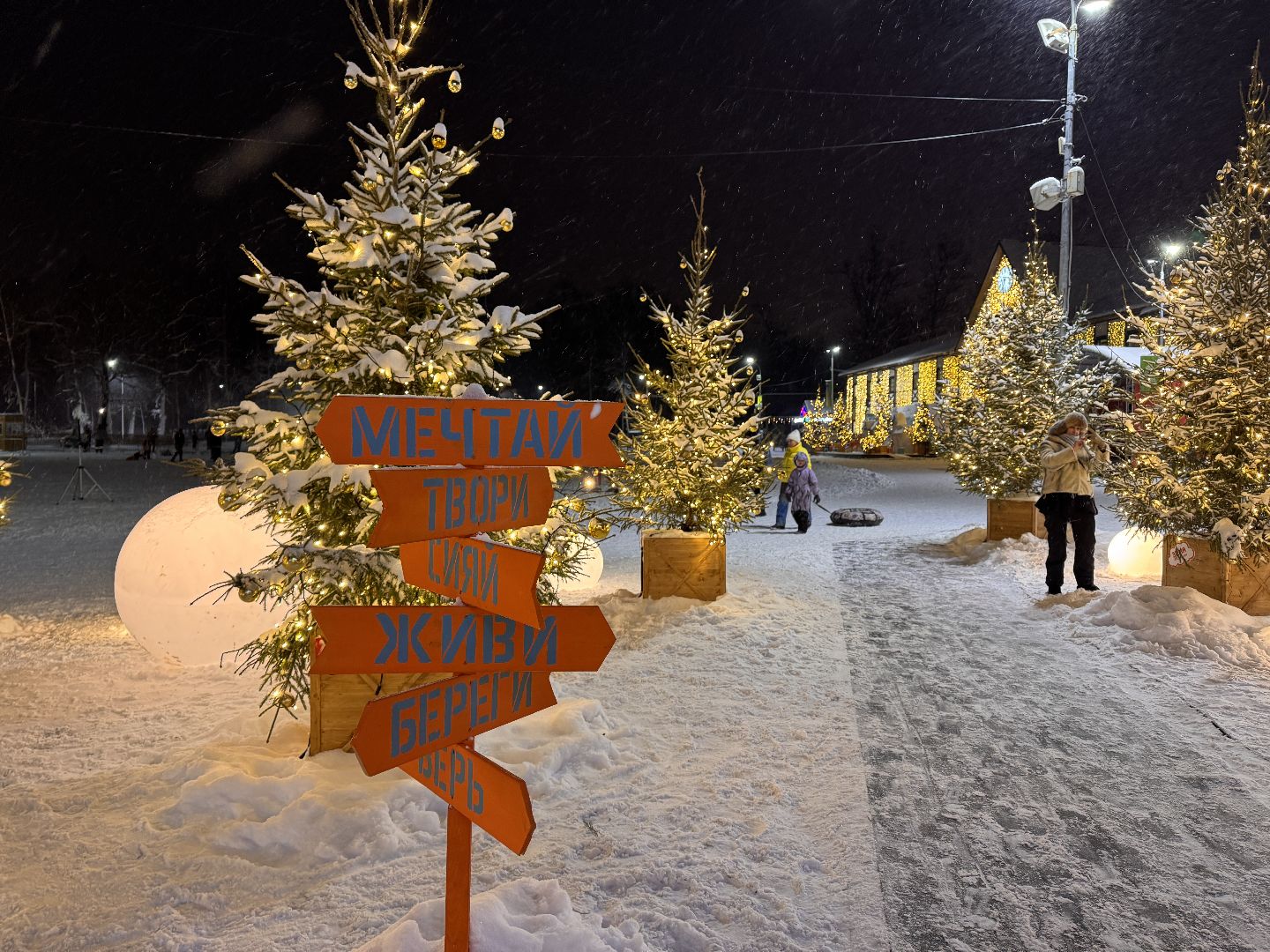 одинцовский парк культуры спорта и отдыха, ледовое шоу, зима в Подмосковье, вертикалка, вертикальное видео,
