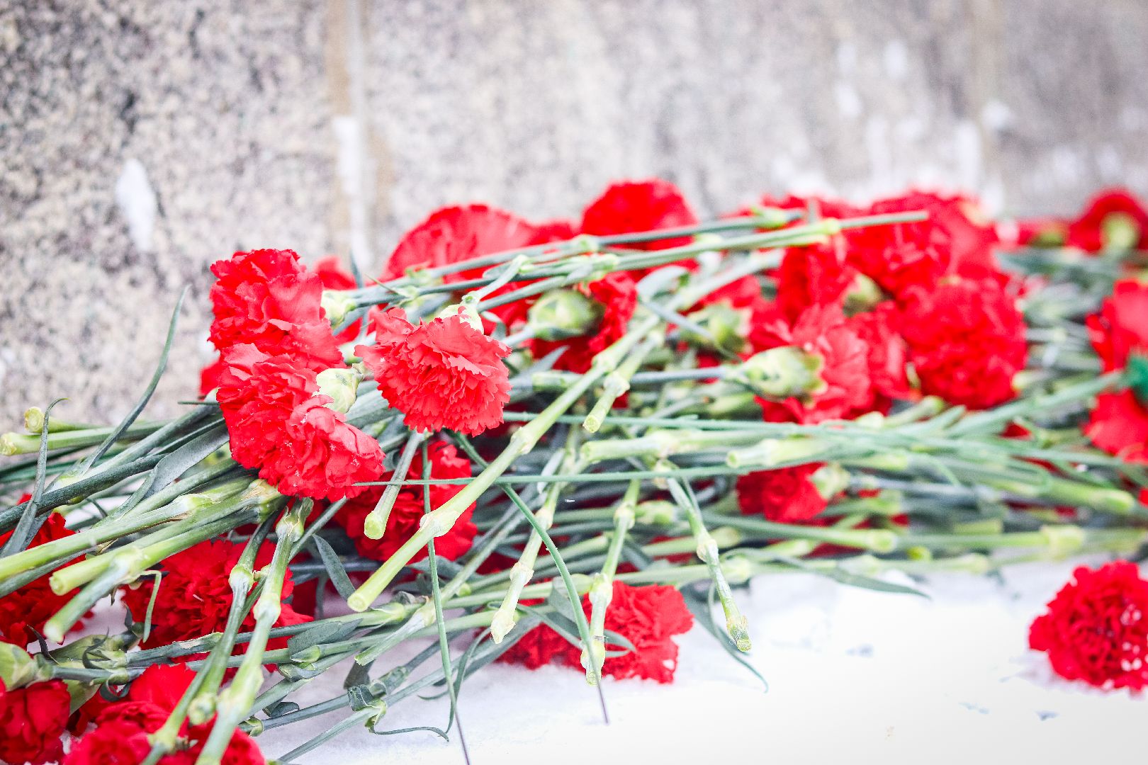 Клин, общество, военная реконструкция, ВОВ, память,