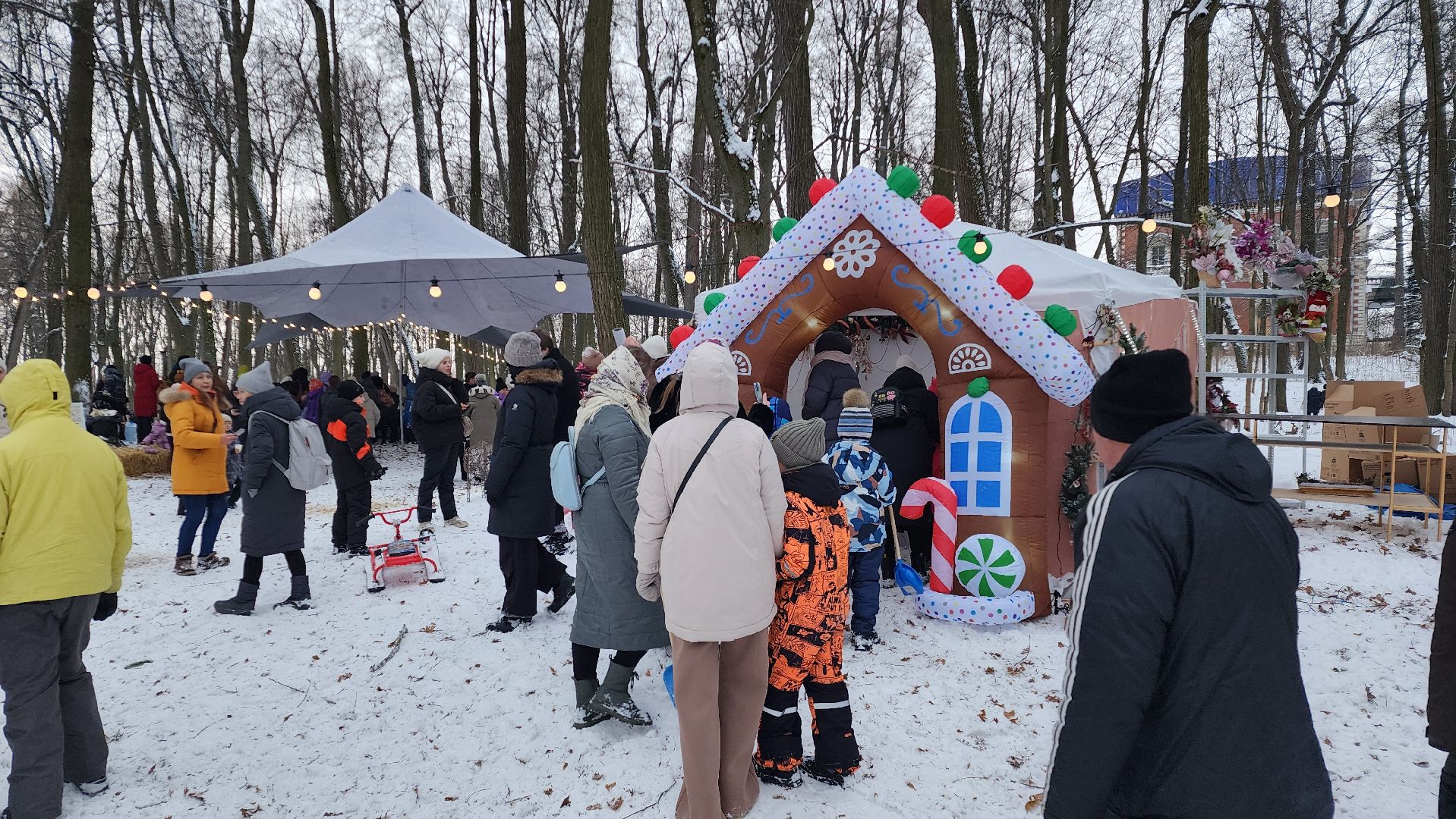 Раменское, Усадьба Быково, Елка в усадьбе Быково, новогоднее представление, Вертикальное видео, Вертикалка,