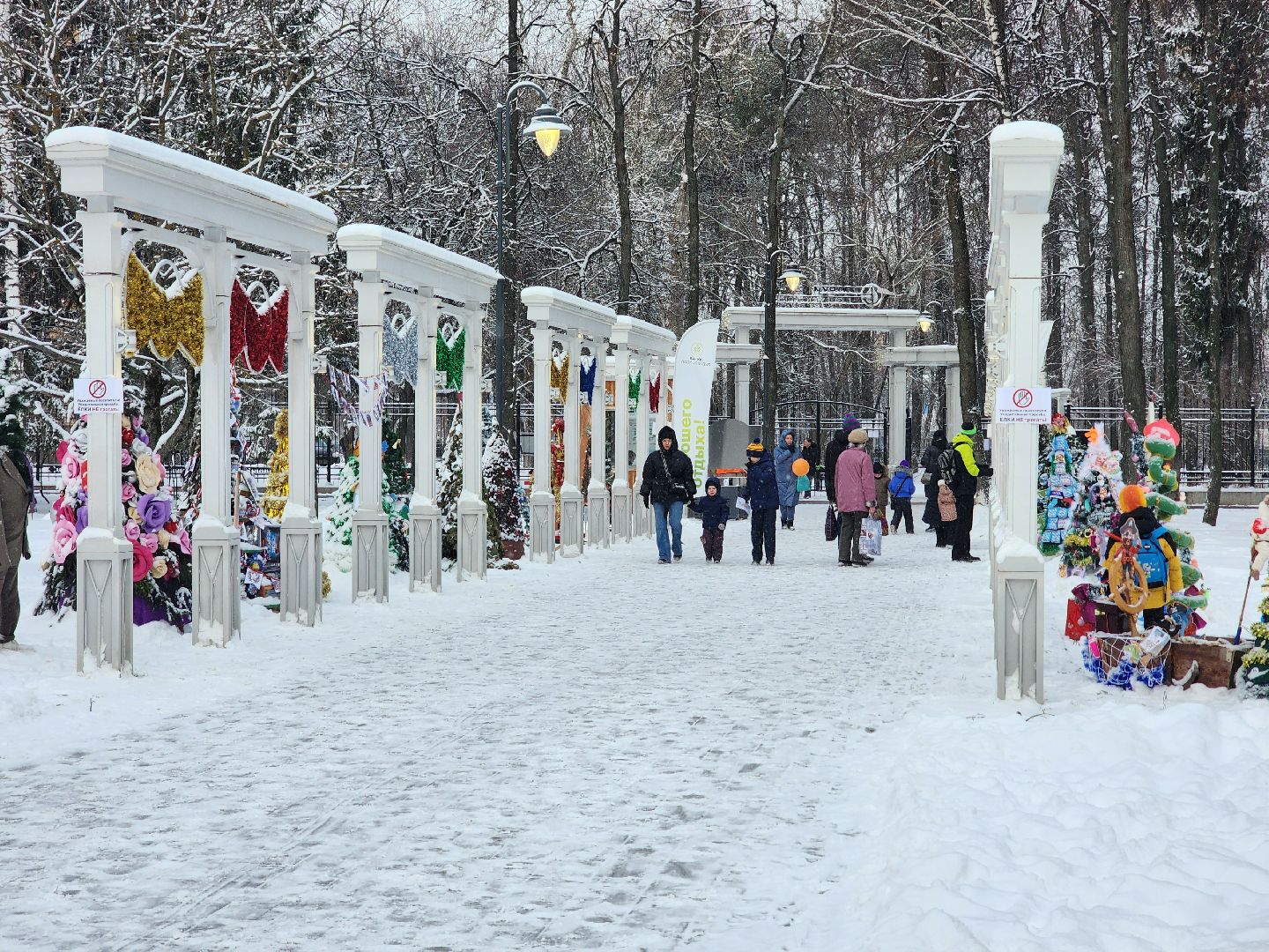 воскресенск, зима в подмосковье, парк, кривякино,