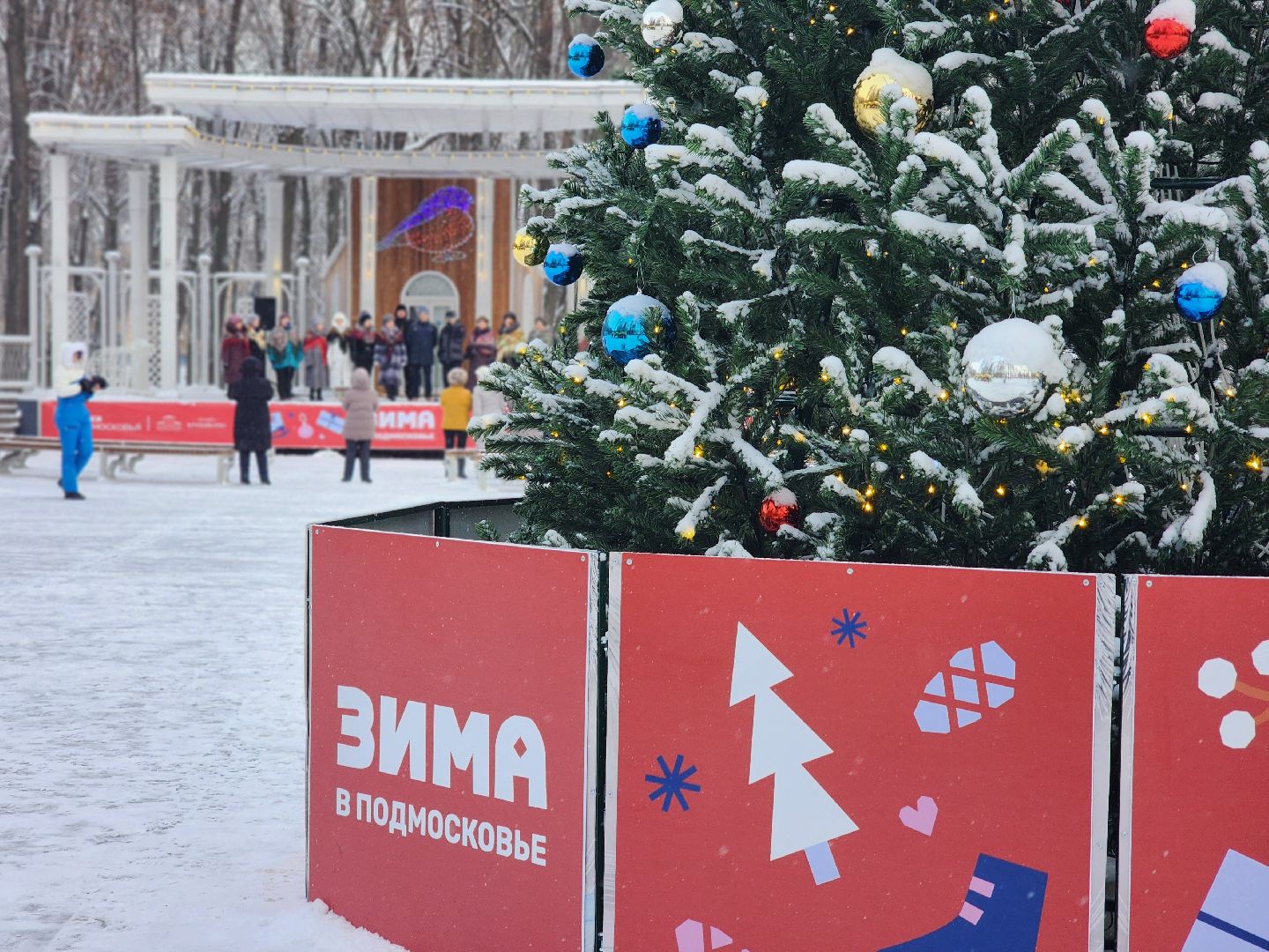 воскресенск, зима в подмосковье, парк, кривякино,