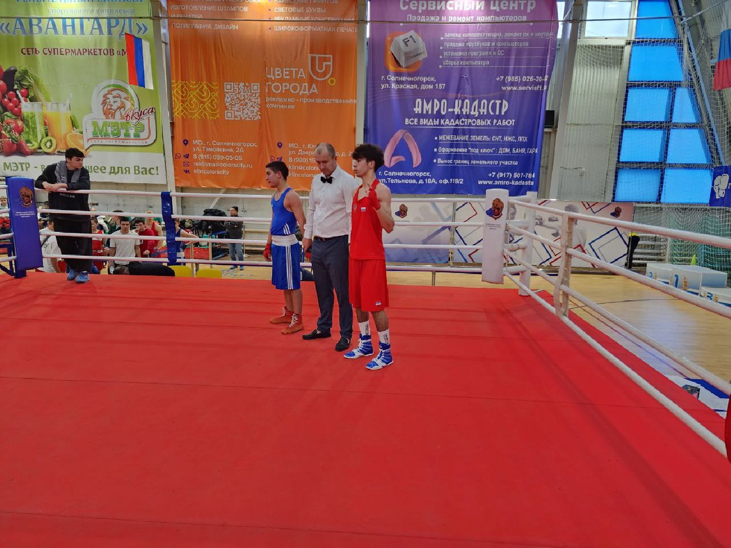 Солнечногорск, Спорт, Бокс, Победа, вертикалки,