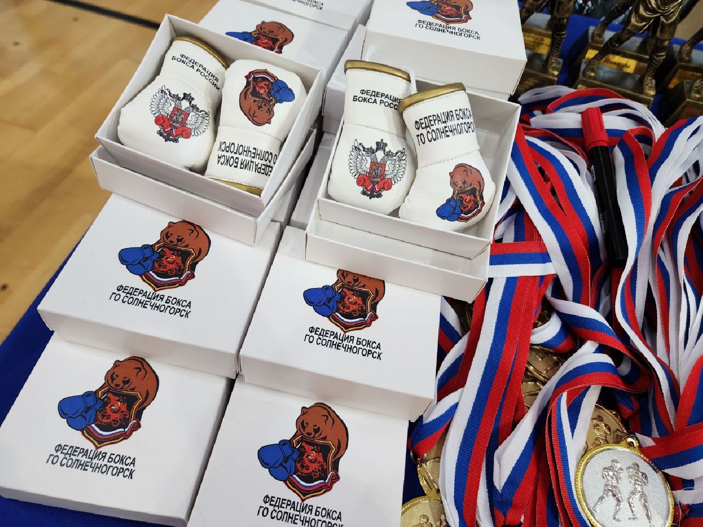 Солнечногорск, Спорт, Бокс, Победа, вертикалки,