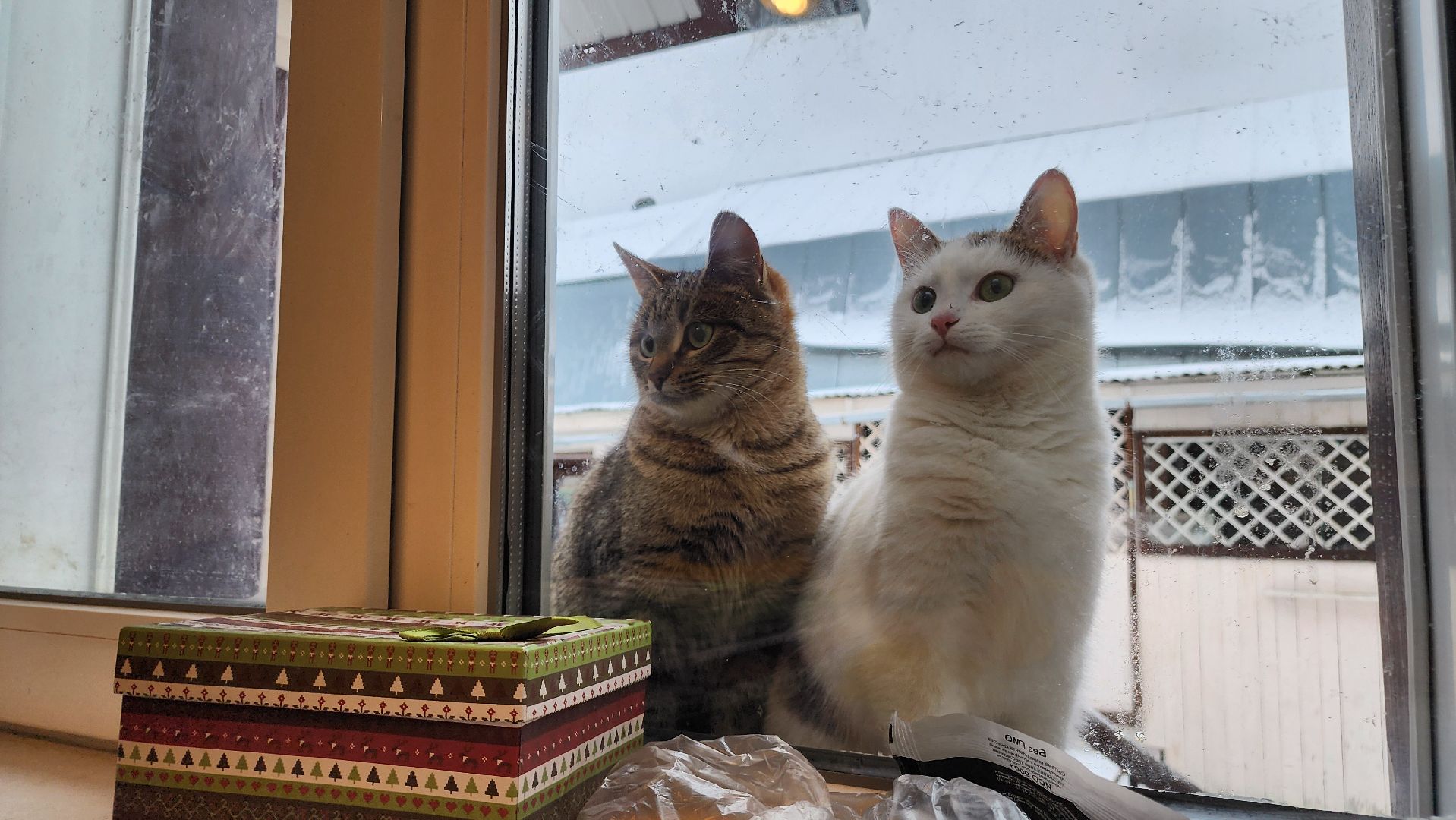 ступино, новый год, новогодние традиции, история,