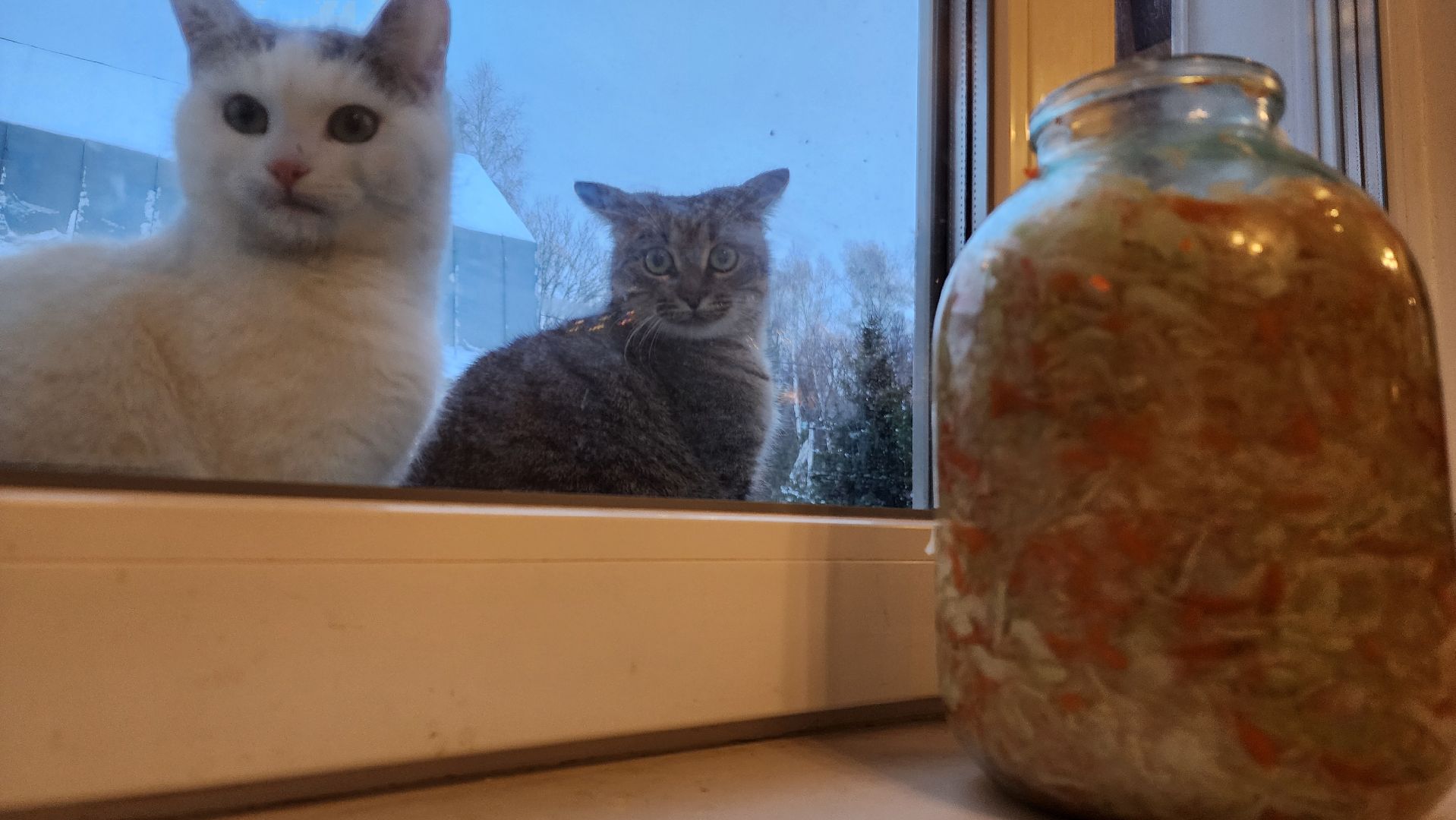 ступино, новый год, новогодние традиции, история,