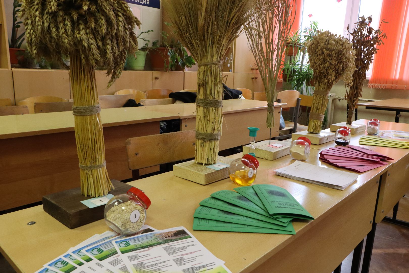 ГИА Осознанность. Профориентация, Серебряные Пруды, СОШ Чуйкова, Образование,вертикалки,