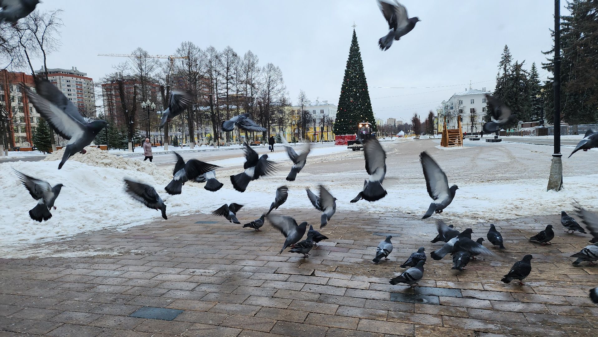 ступино, благоустройство, уборка снега, вертикалки,