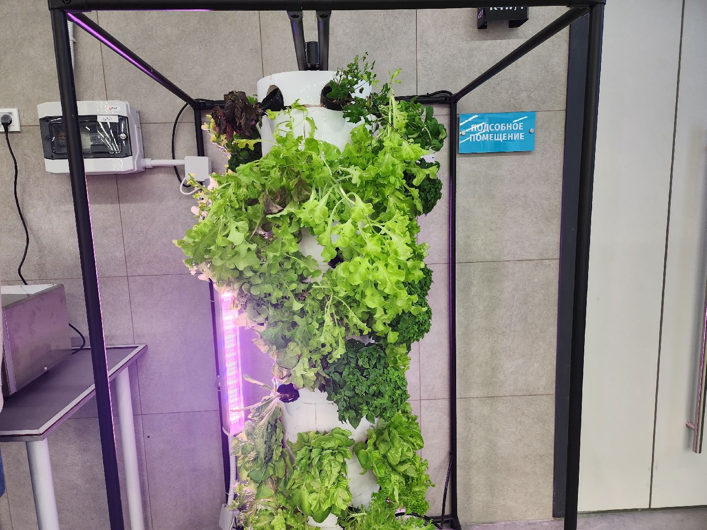 долгопрудный, технопарк, физтех-лицей,лаборатории, оранжерея, роботы,узбекистан,