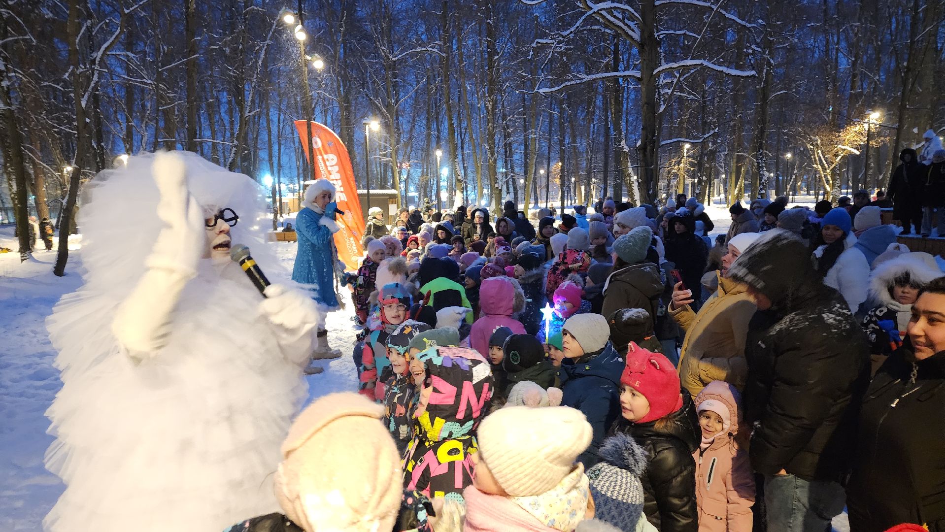 Зима в Подмосковье, парки Подмосковья, Лосино-Петровский,