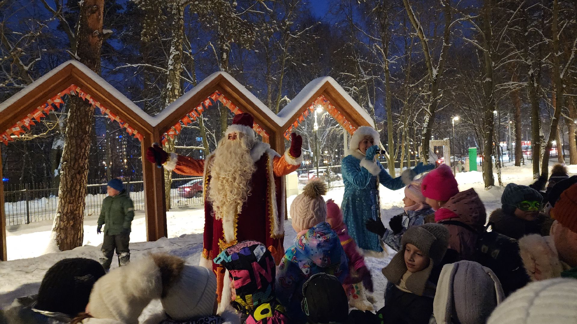 Зима в Подмосковье, парки Подмосковья, Лосино-Петровский,