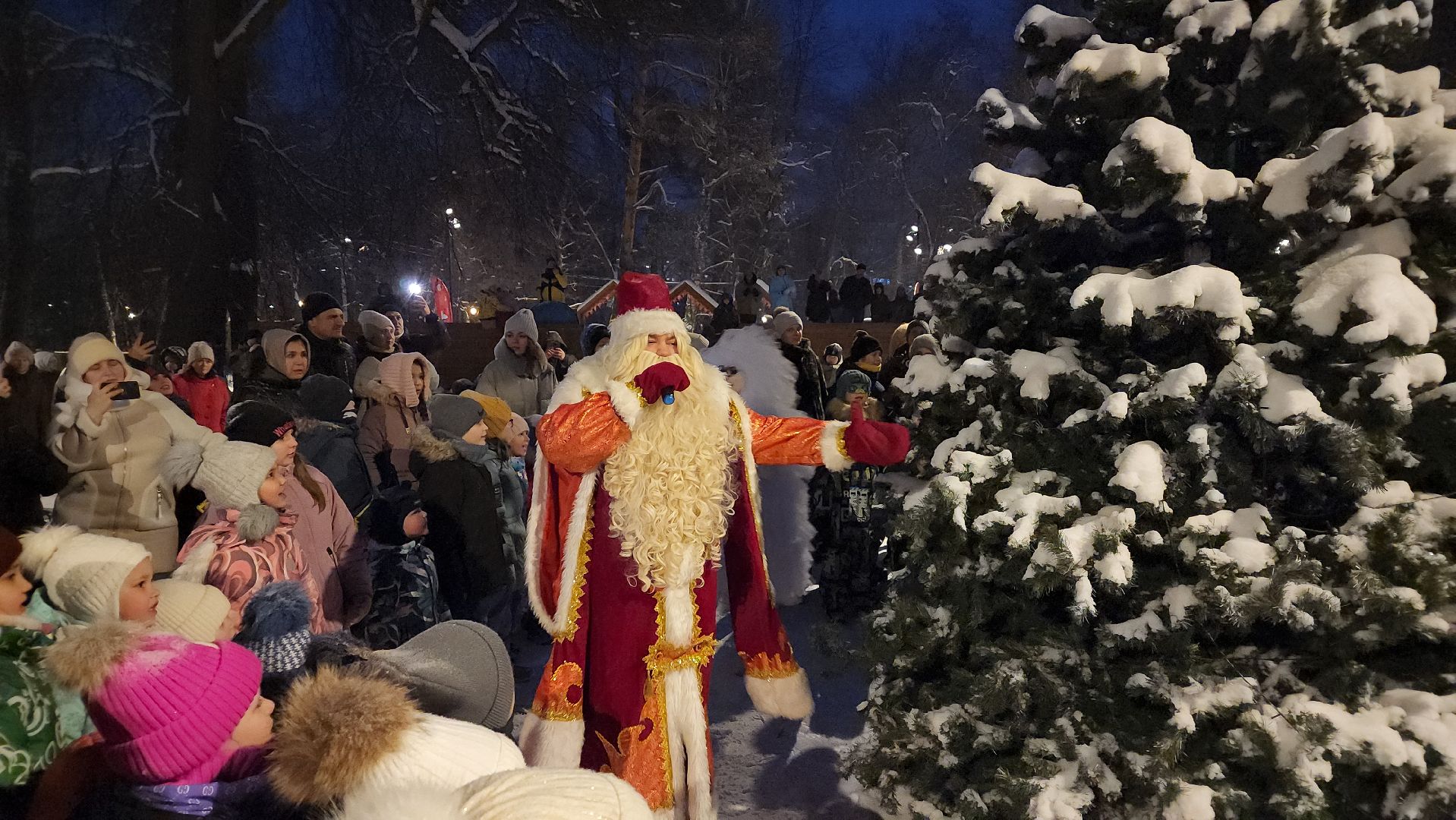 Зима в Подмосковье, парки Подмосковья, Лосино-Петровский,