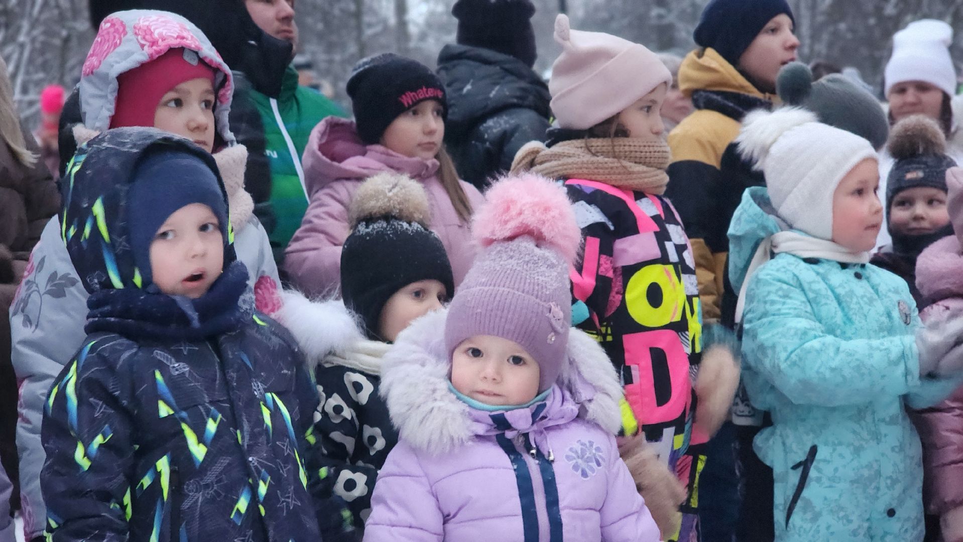 Зима в Подмосковье, парки Подмосковья, Лосино-Петровский,