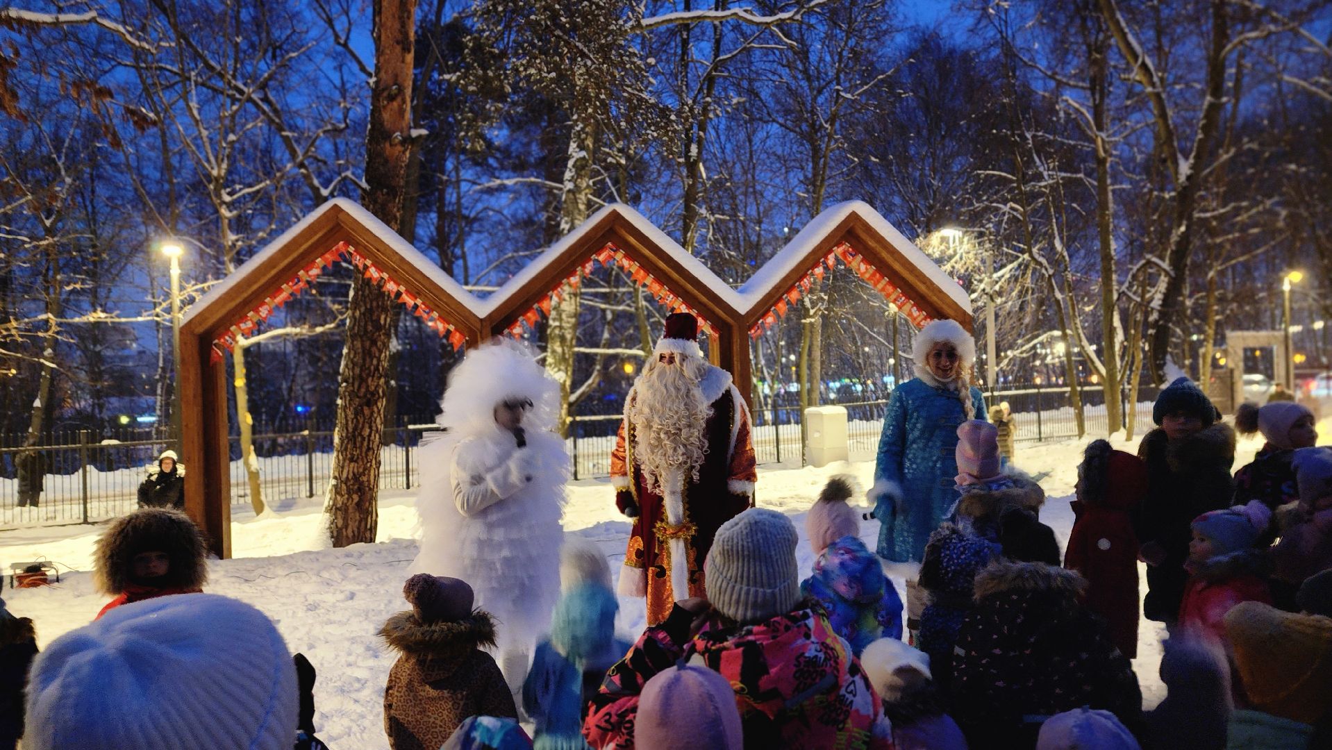 Зима в Подмосковье, парки Подмосковья, Лосино-Петровский,