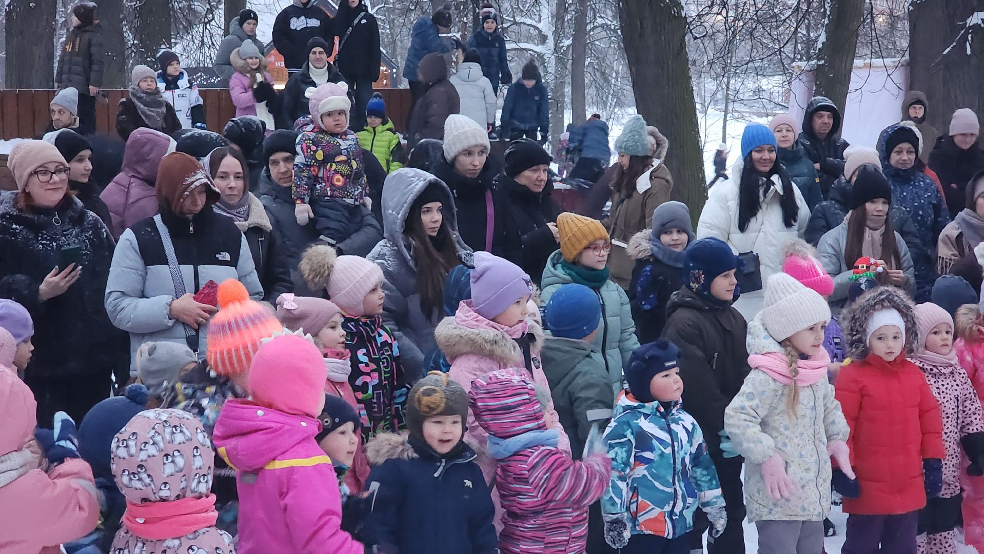 Зима в Подмосковье, парки Подмосковья, Лосино-Петровский,