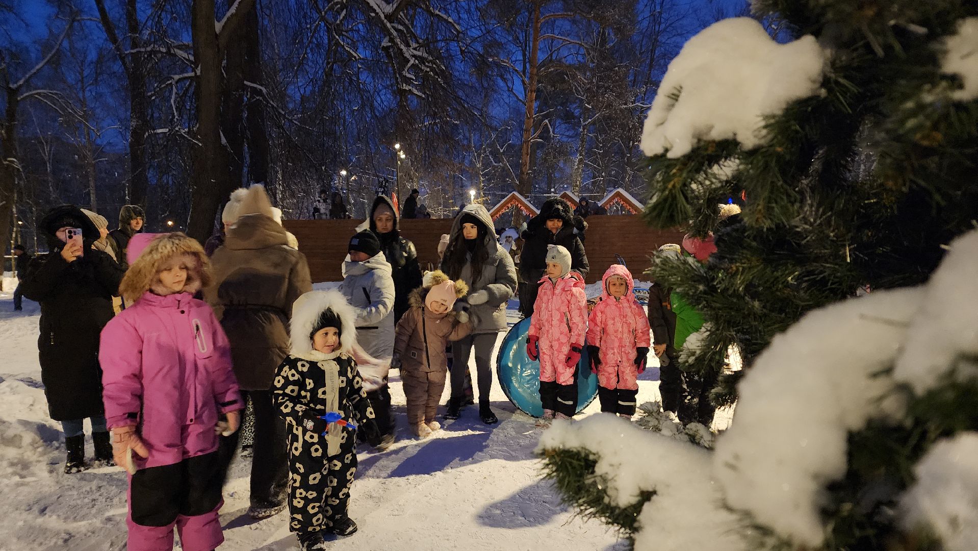 Зима в Подмосковье, парки Подмосковья, Лосино-Петровский,