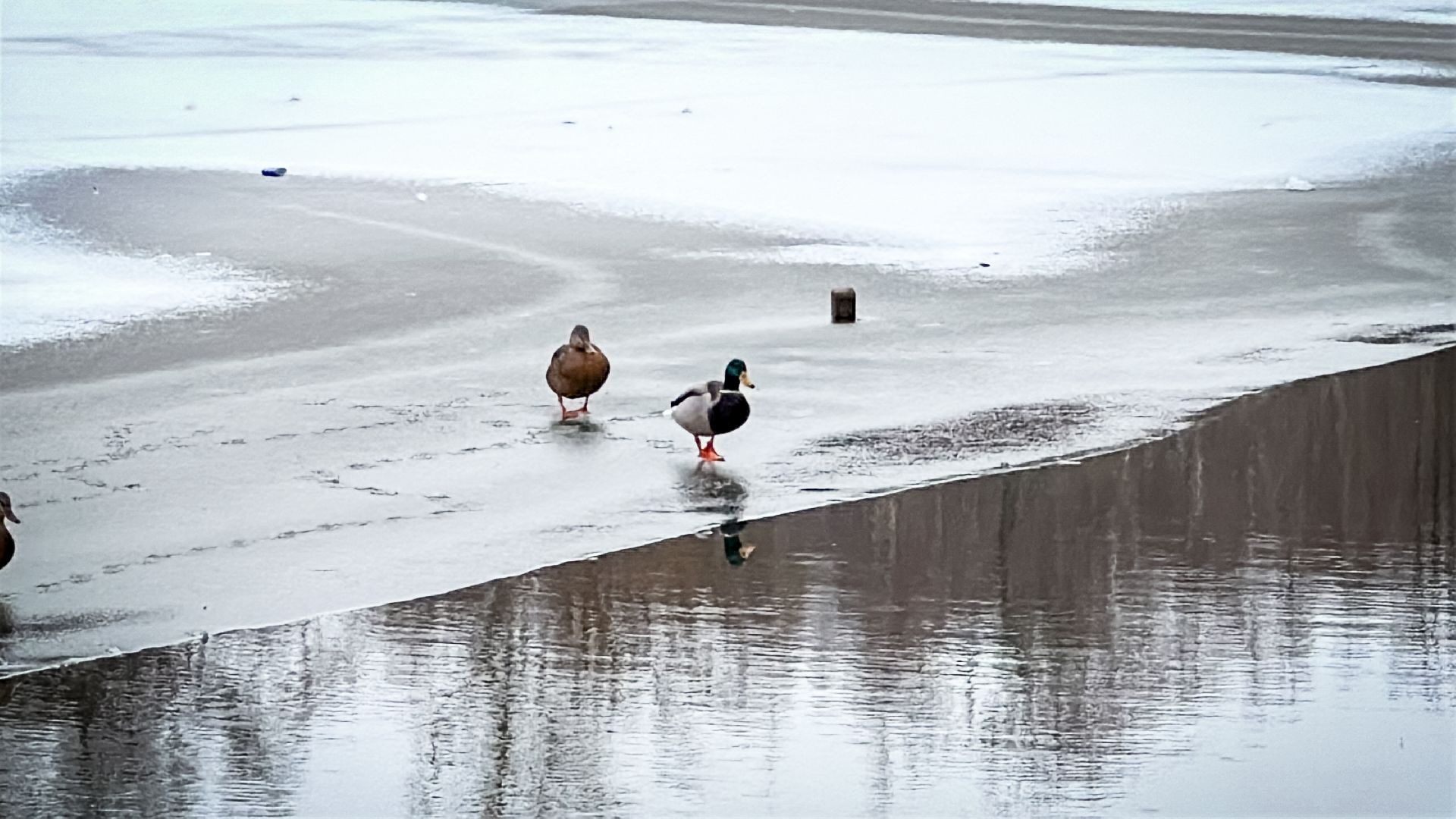 Клин, экология, очистка реки, вертикалки,