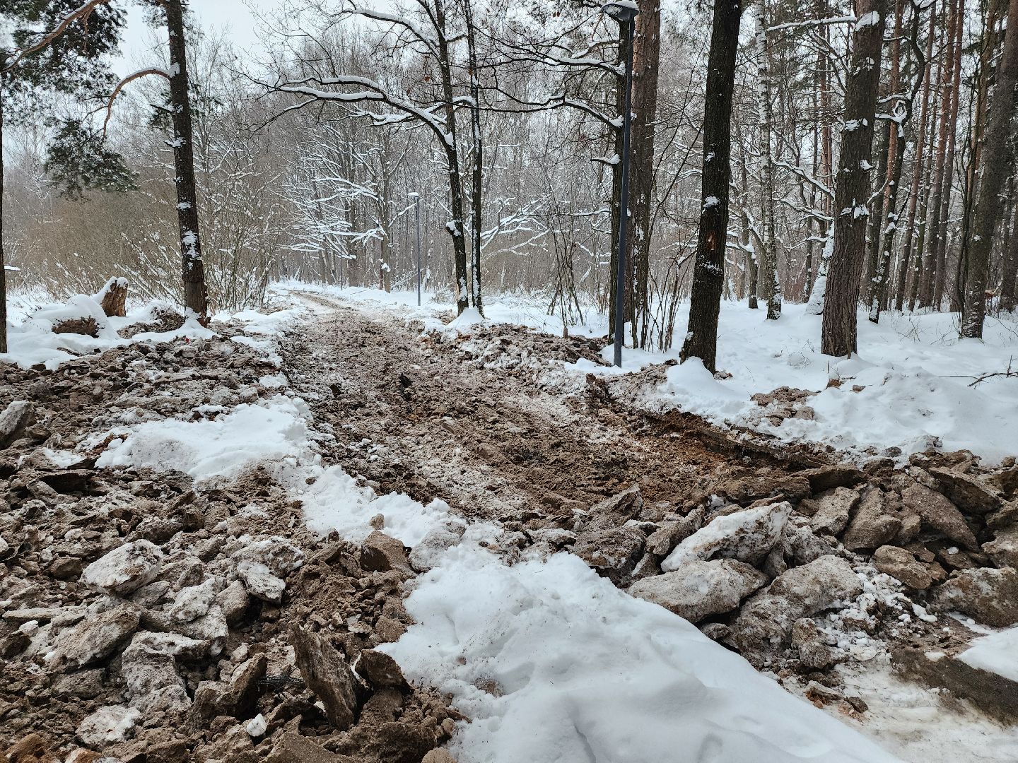 одинцово, связь трех парков, вертикалка, вертикальное видео,велодорожка,