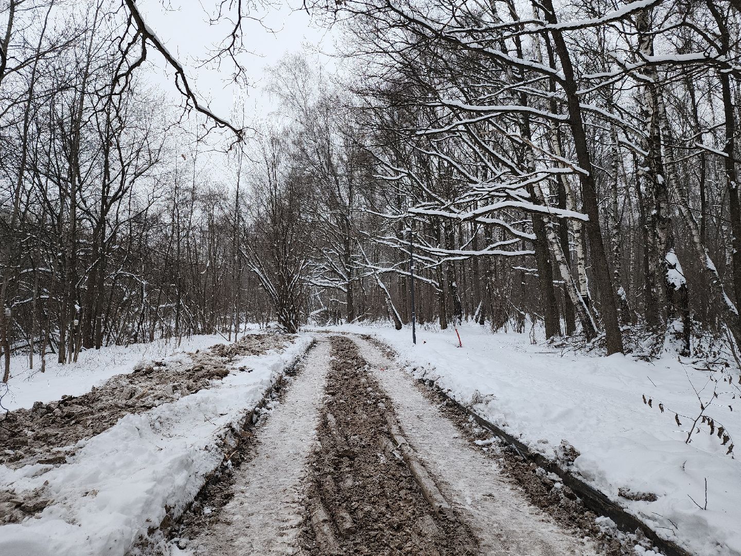 одинцово, связь трех парков, вертикалка, вертикальное видео,велодорожка,
