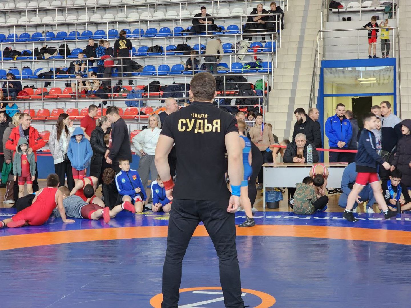 Солнечногорск, Спортивная борьба, Турнир, Спорт, вертикалки,