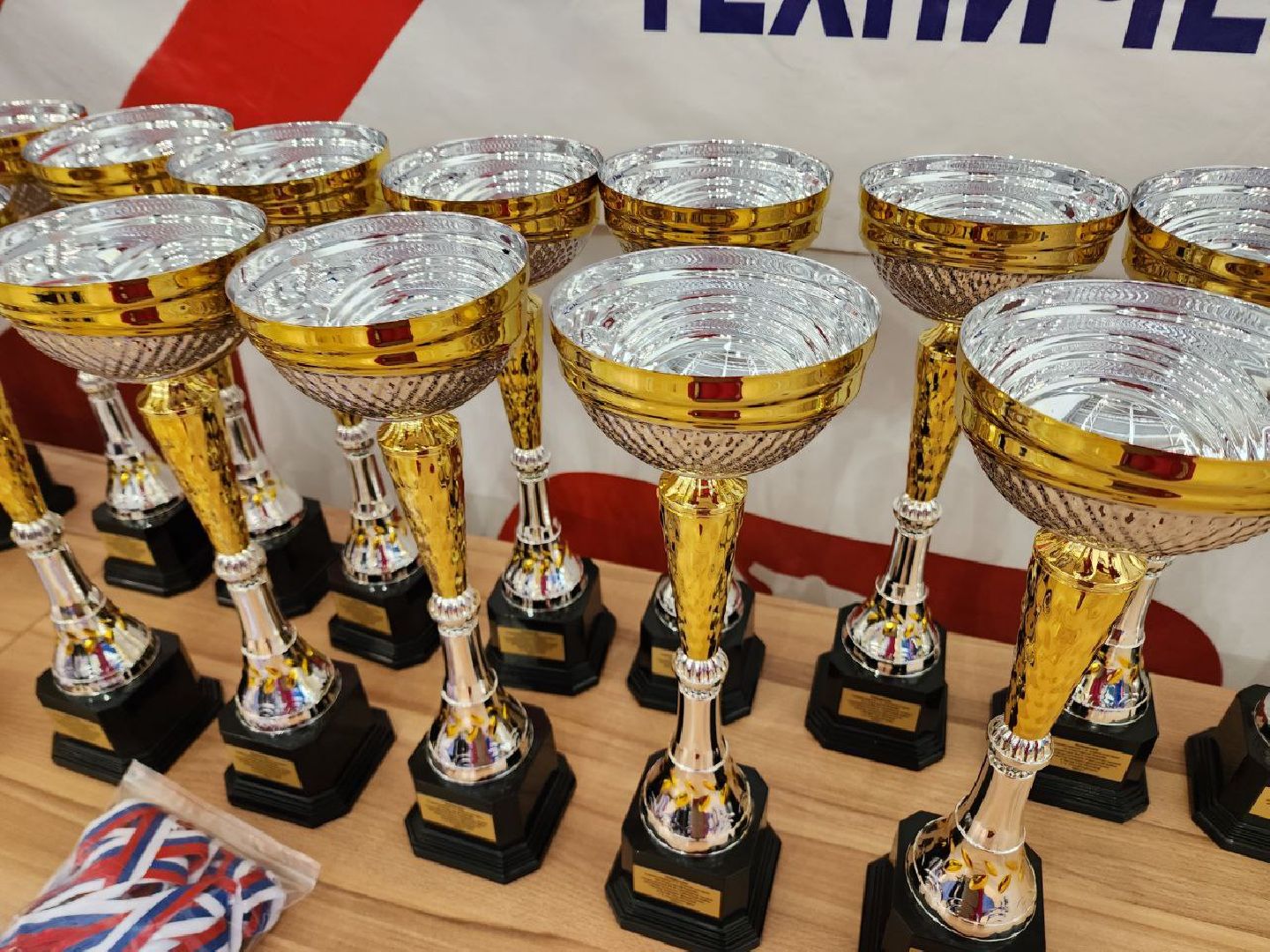 Солнечногорск, Спортивная борьба, Турнир, Спорт, вертикалки,