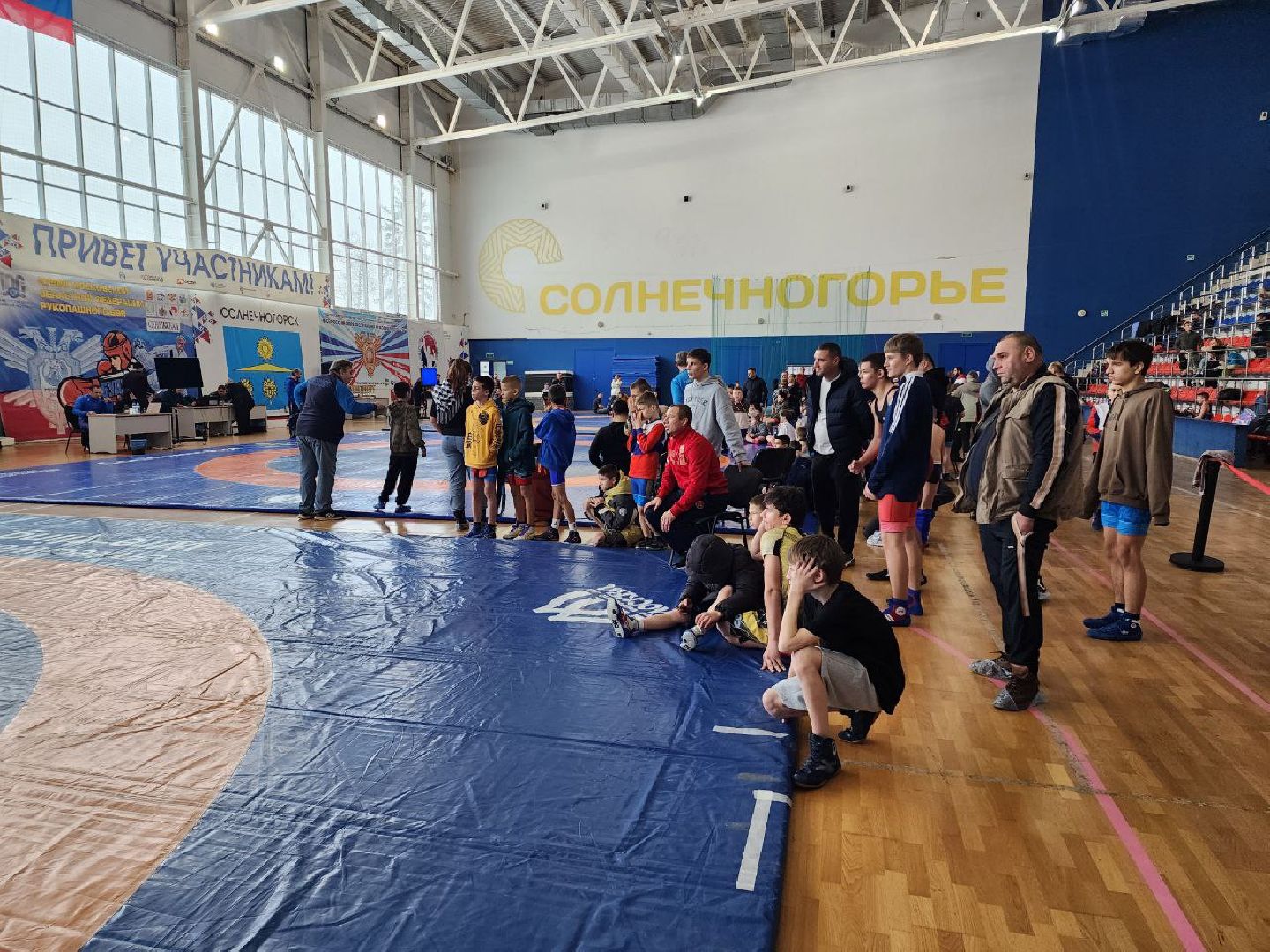 Солнечногорск, Спортивная борьба, Турнир, Спорт, вертикалки,