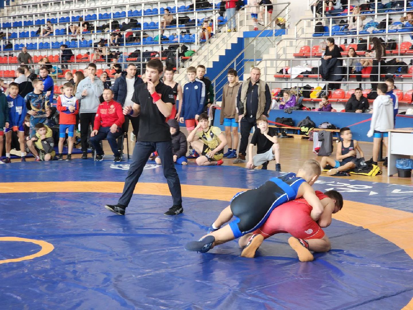 Солнечногорск, Спортивная борьба, Турнир, Спорт, вертикалки,