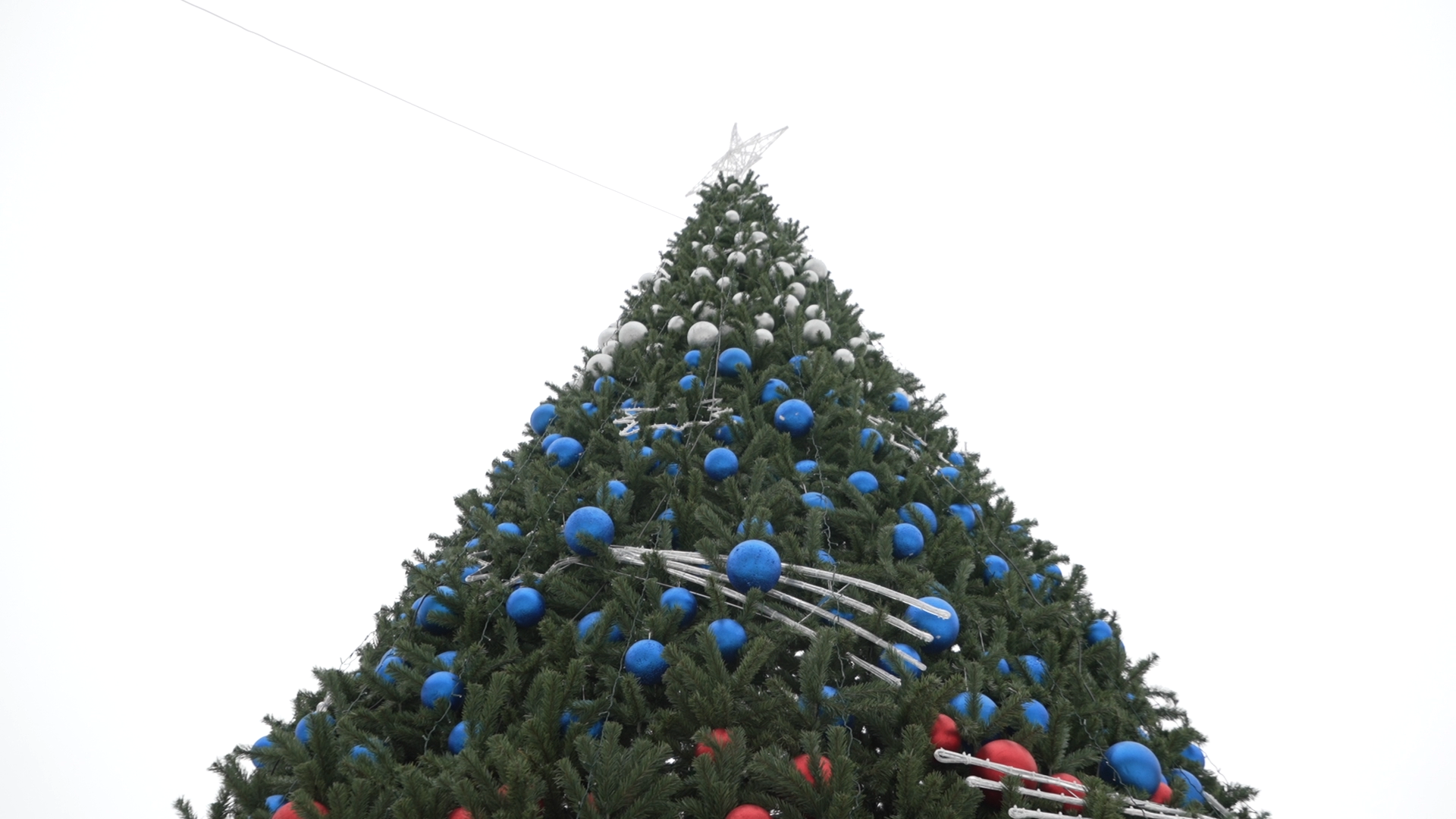 елка на площади ДК Власиха, новогодняя елка, новый год Власиха, праздник нового года, новый 2025 год,