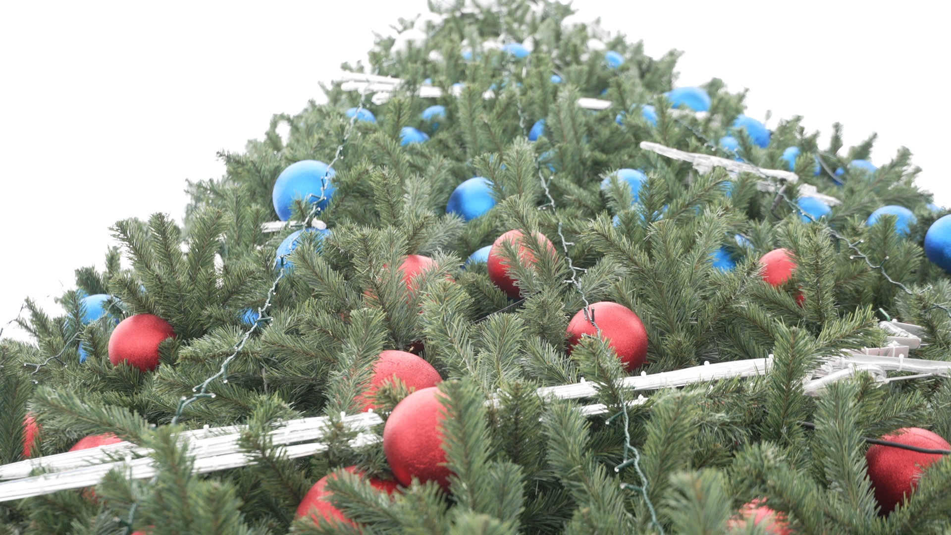 елка на площади ДК Власиха, новогодняя елка, новый год Власиха, праздник нового года, новый 2025 год,