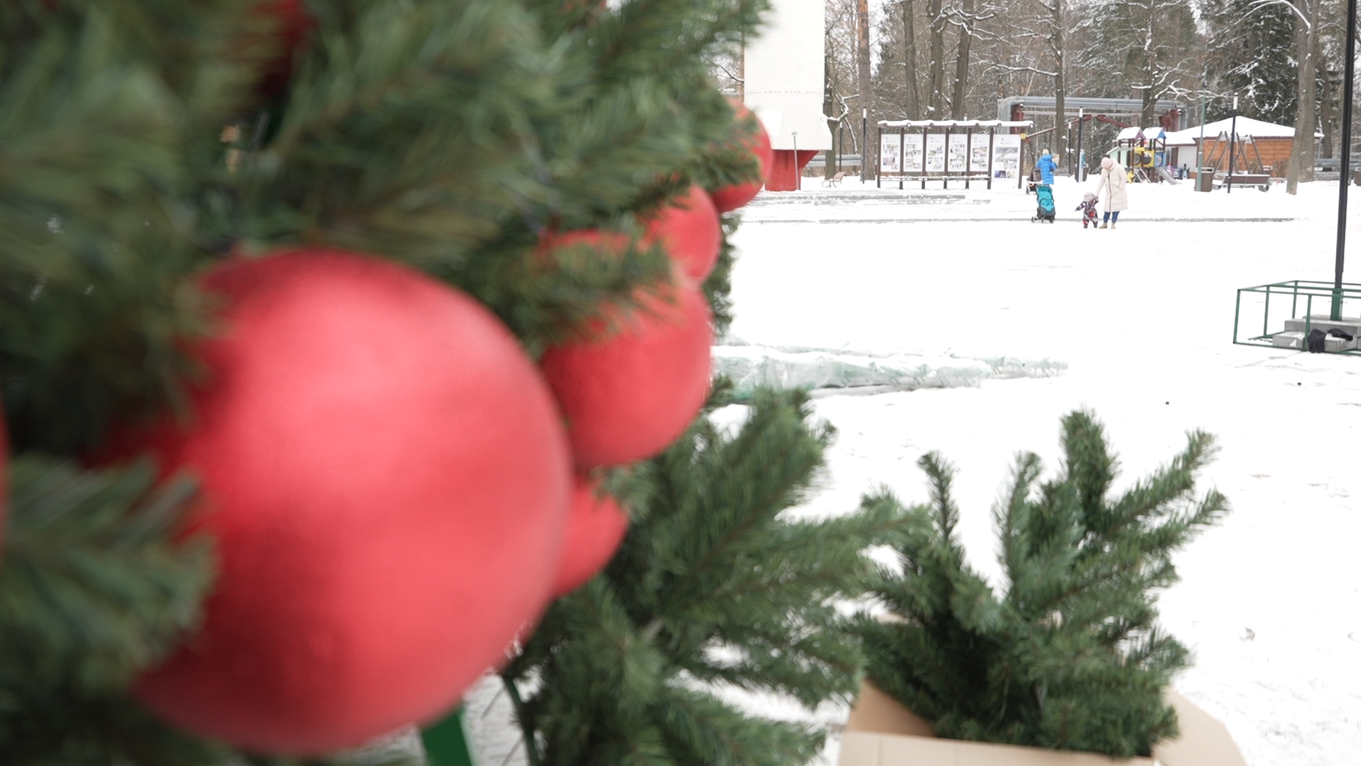 елка на площади ДК Власиха, новогодняя елка, новый год Власиха, праздник нового года, новый 2025 год,