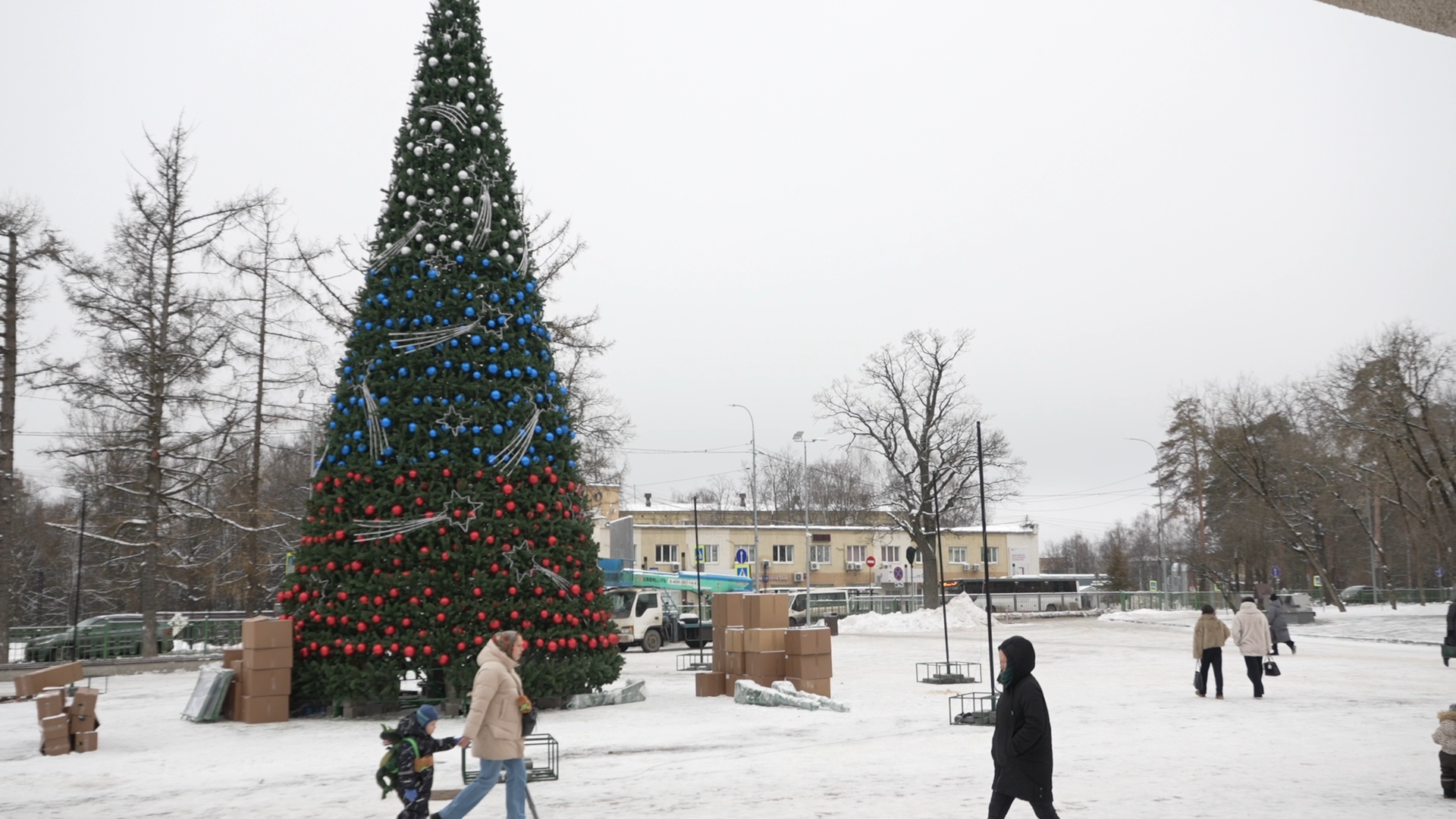 елка на площади ДК Власиха, новогодняя елка, новый год Власиха, праздник нового года, новый 2025 год,