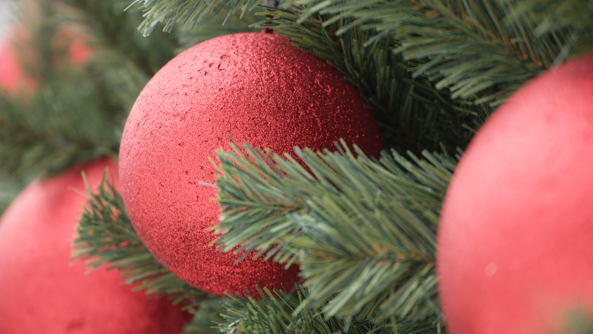 елка на площади ДК Власиха, новогодняя елка, новый год Власиха, праздник нового года, новый 2025 год,