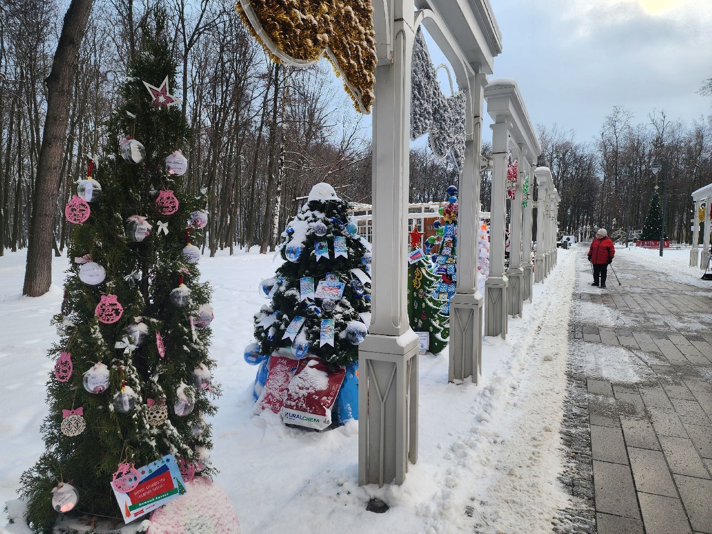 воскресенск, парк кривякино, чудные елки, вертикалки, новый год, зима в подмосковье,