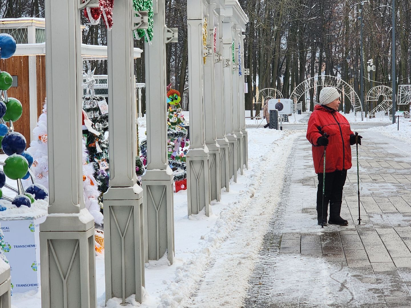 воскресенск, парк кривякино, чудные елки, вертикалки, новый год, зима в подмосковье,