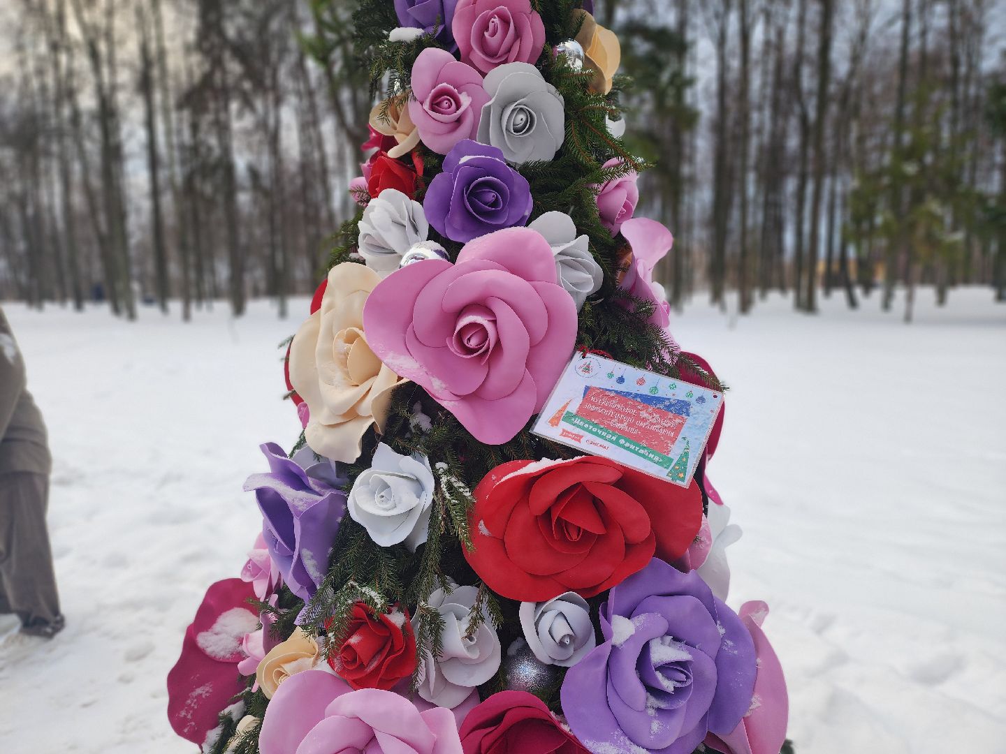 воскресенск, парк кривякино, чудные елки, вертикалки, новый год, зима в подмосковье,