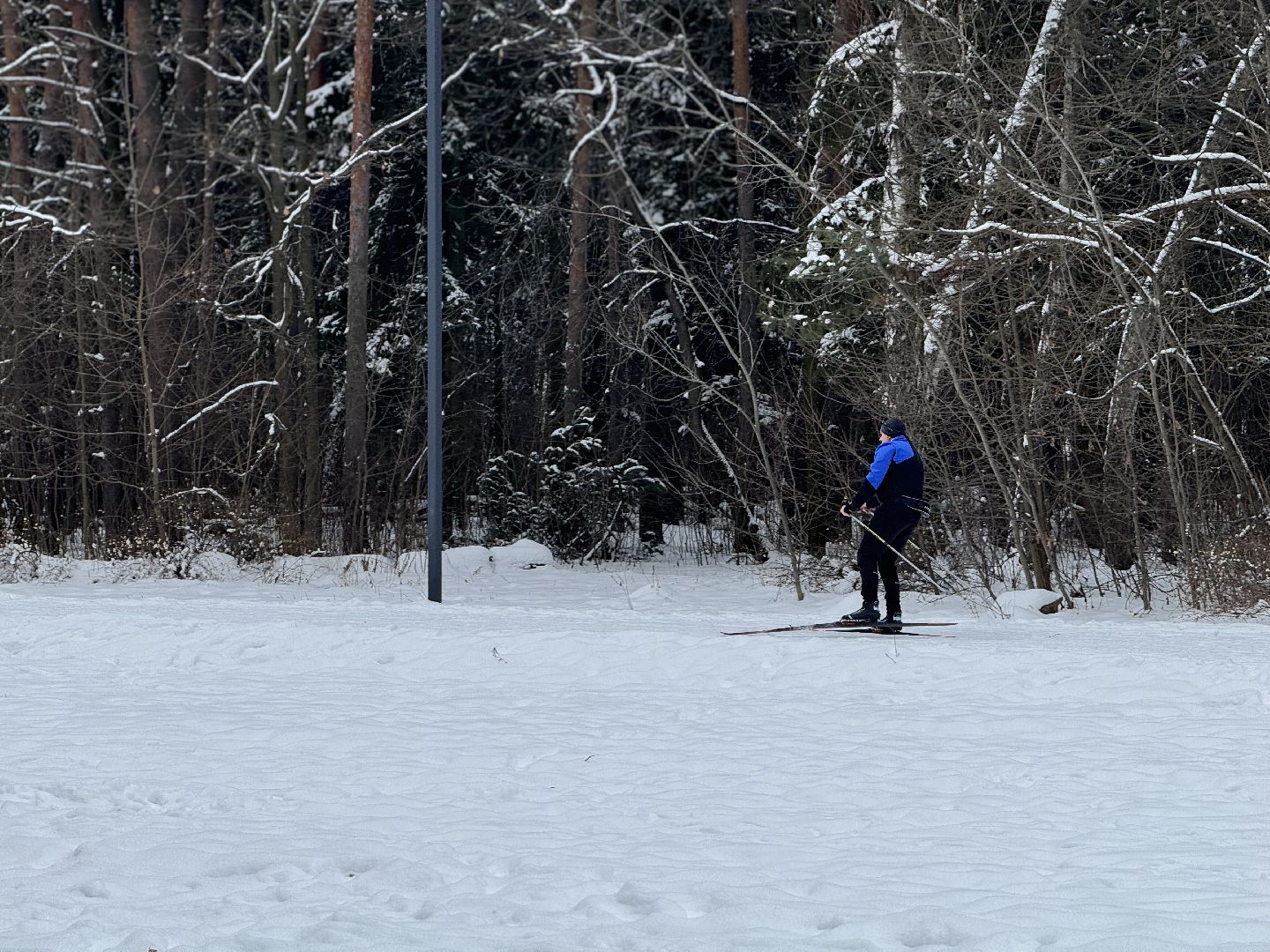 зима в подмомсковье, зима в парках, Лыжные трассы, лыжная база, прокат лыж,Парк Апаринки,