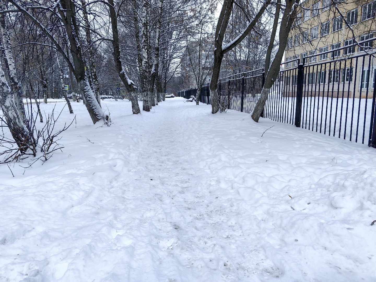 уборка снега, тротуар, пешеходная зона, администрация, ук, вертикалка