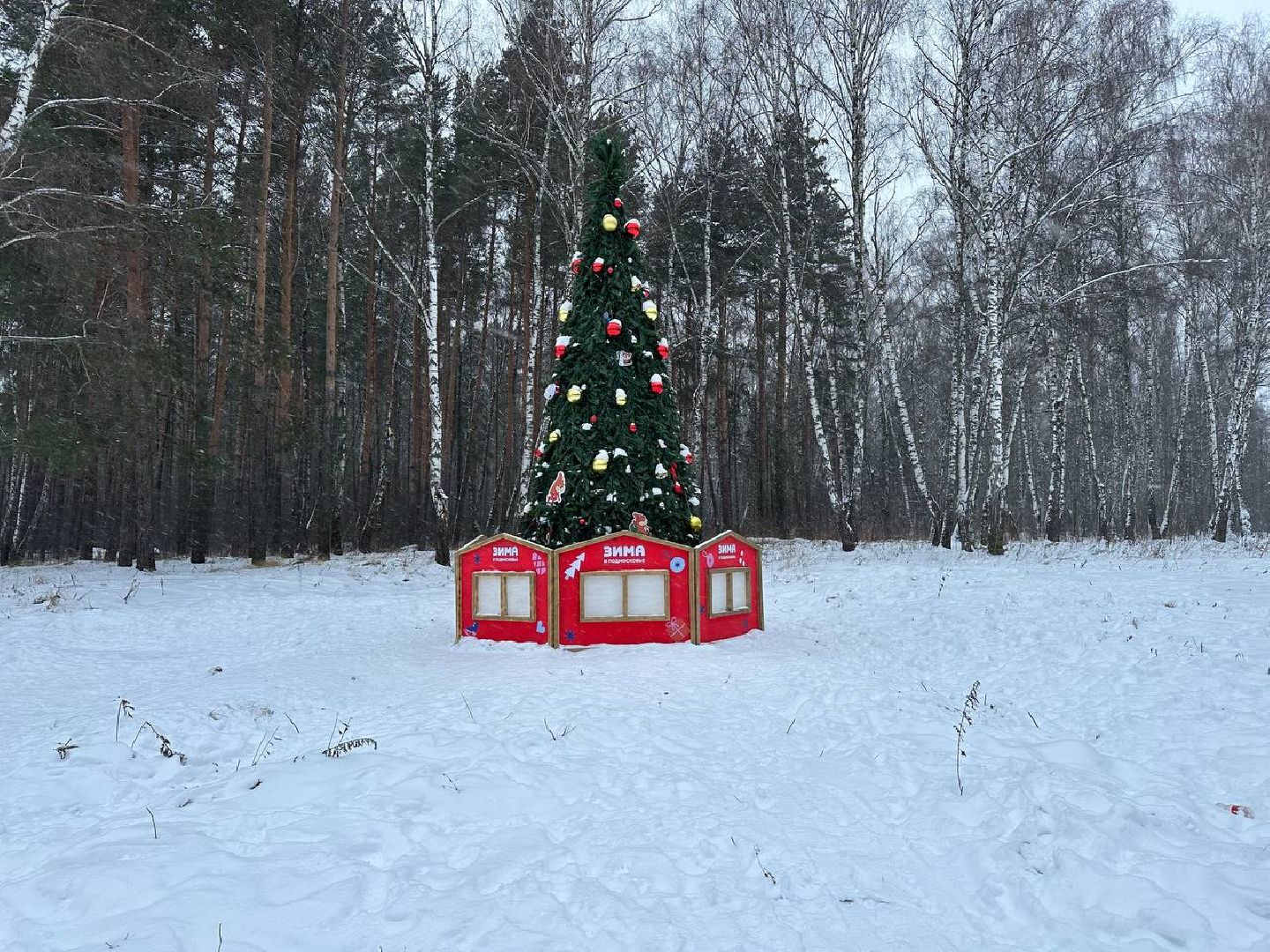 тюбинговая горка, парки, парки домодедово,