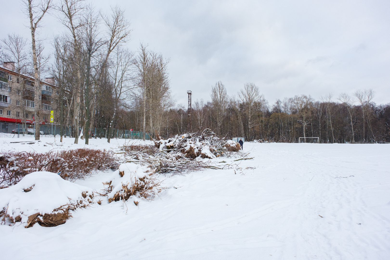 лыткарино, строительство, стадион, капитальный ремонт, вертикалка,