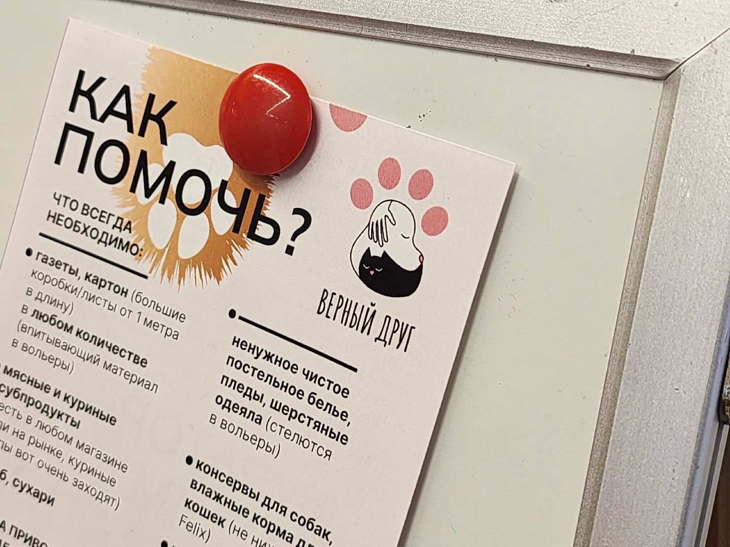 Дубна, Верный друг, Приют, Маркет, Благотворительность,