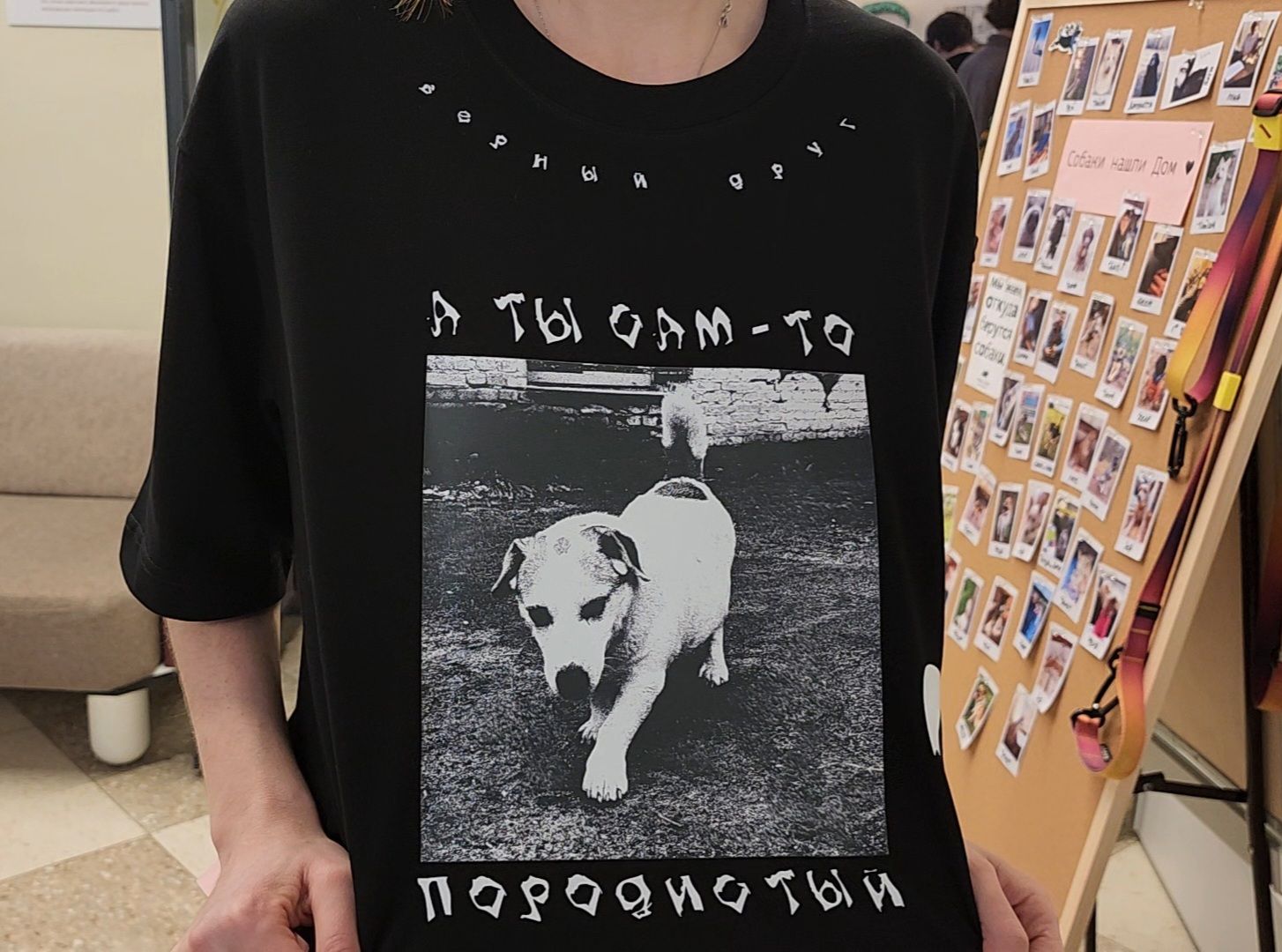 Дубна, Верный друг, Приют, Маркет, Благотворительность,