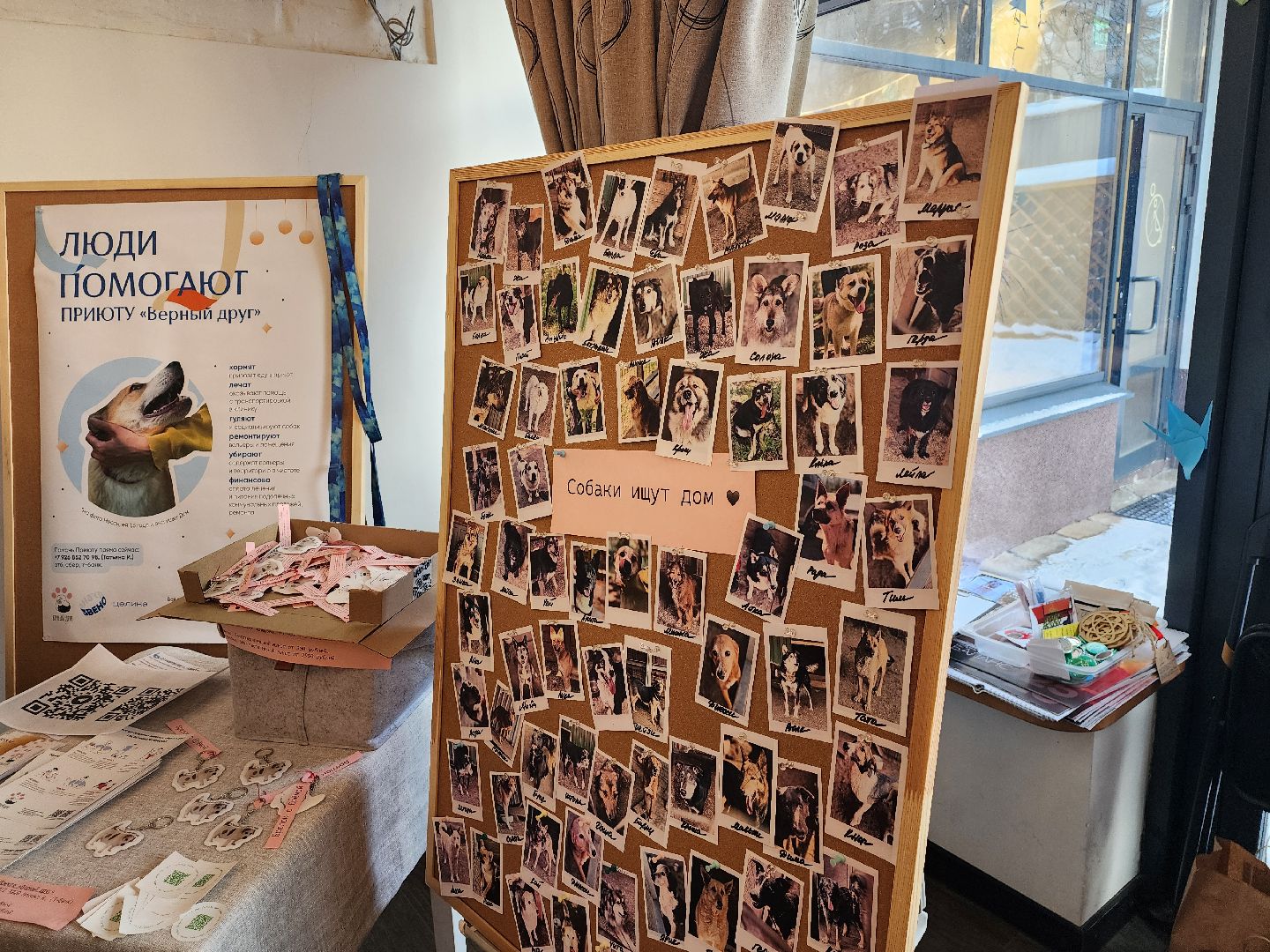 Дубна, Верный друг, Приют, Маркет, Благотворительность,