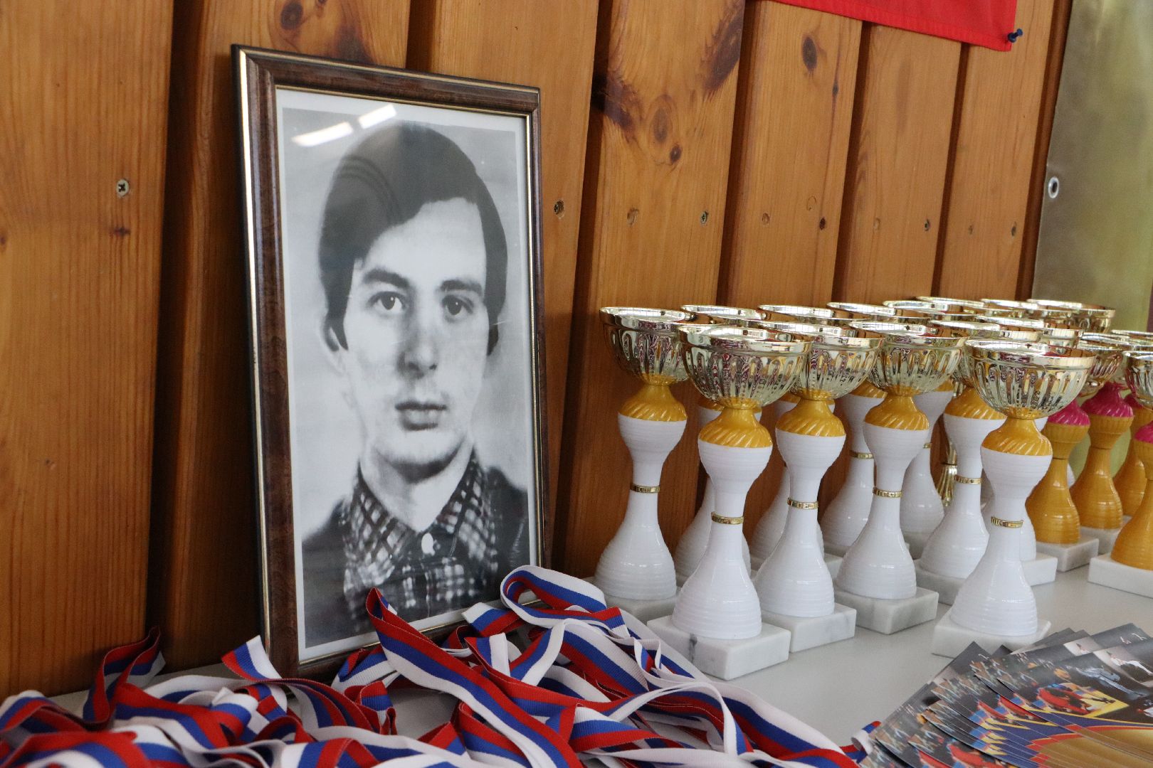 вертикалки, Серебряные Пруды, Спорт, дзюдо, сумо, турнир памяти воина-интернационалиста Храмшина,