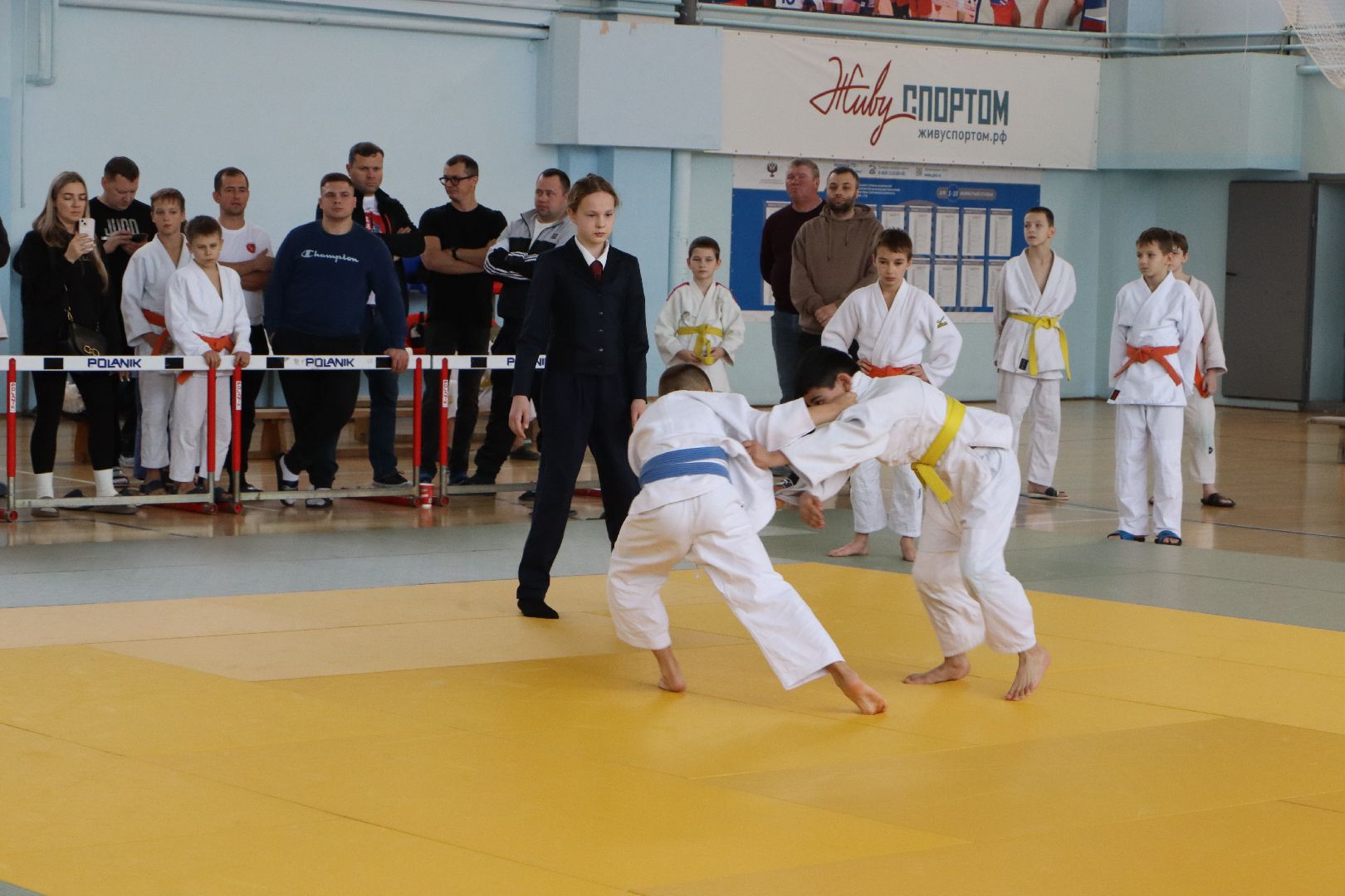 вертикалки, Серебряные Пруды, Спорт, дзюдо, сумо, турнир памяти воина-интернационалиста Храмшина,