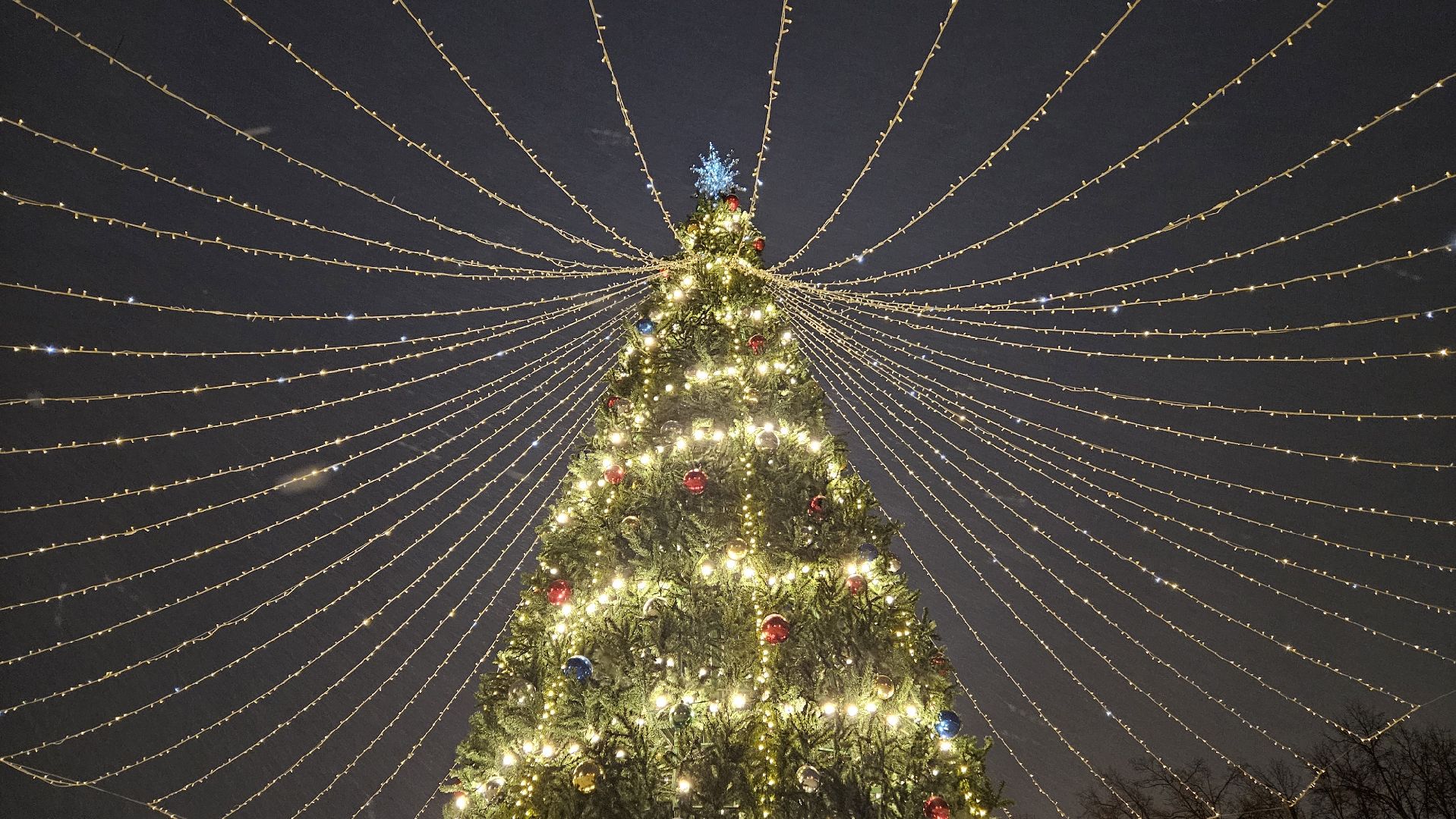 новый год, Жуковский, ёлка,