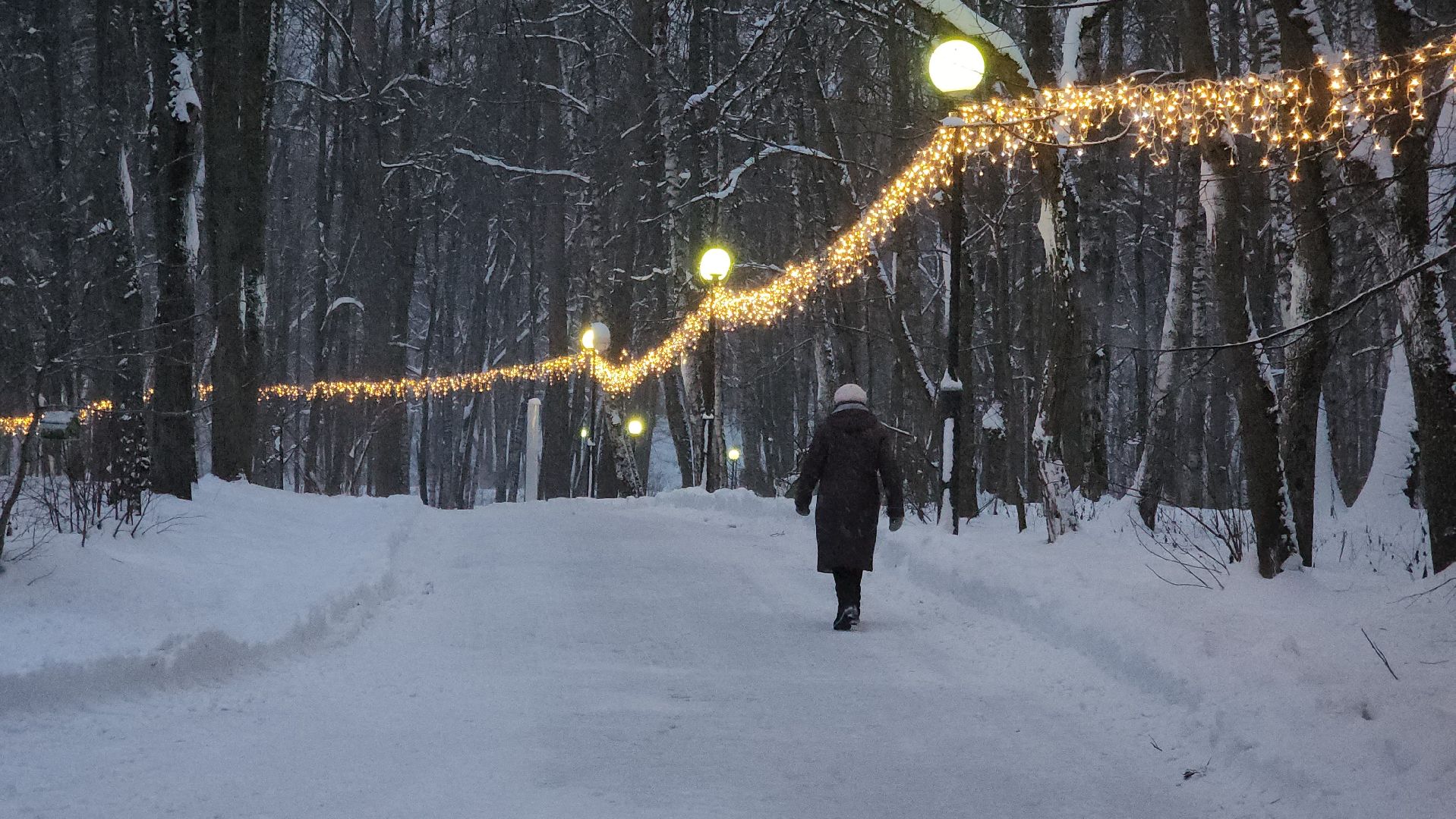 красногорск, городской парк, новый год,Вертикалка, Вертикальное видео,