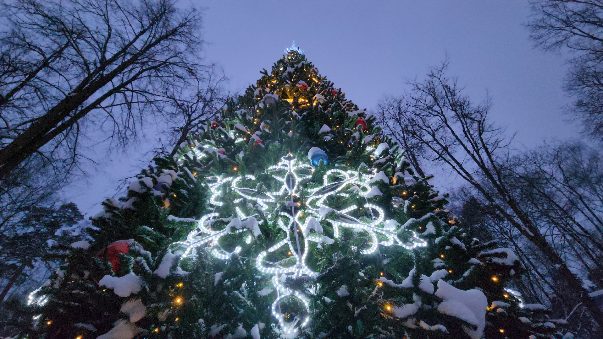 красногорск, городской парк, новый год,Вертикалка, Вертикальное видео,